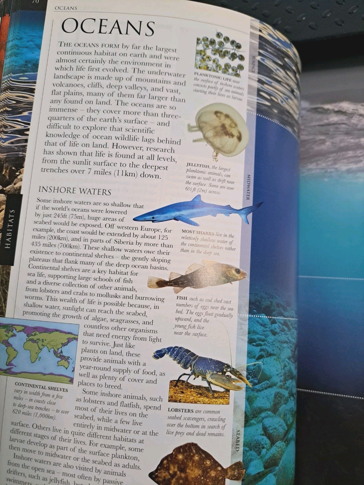 Smithsonian Institution Animal – Visual Guide to Wildlife Educational Book