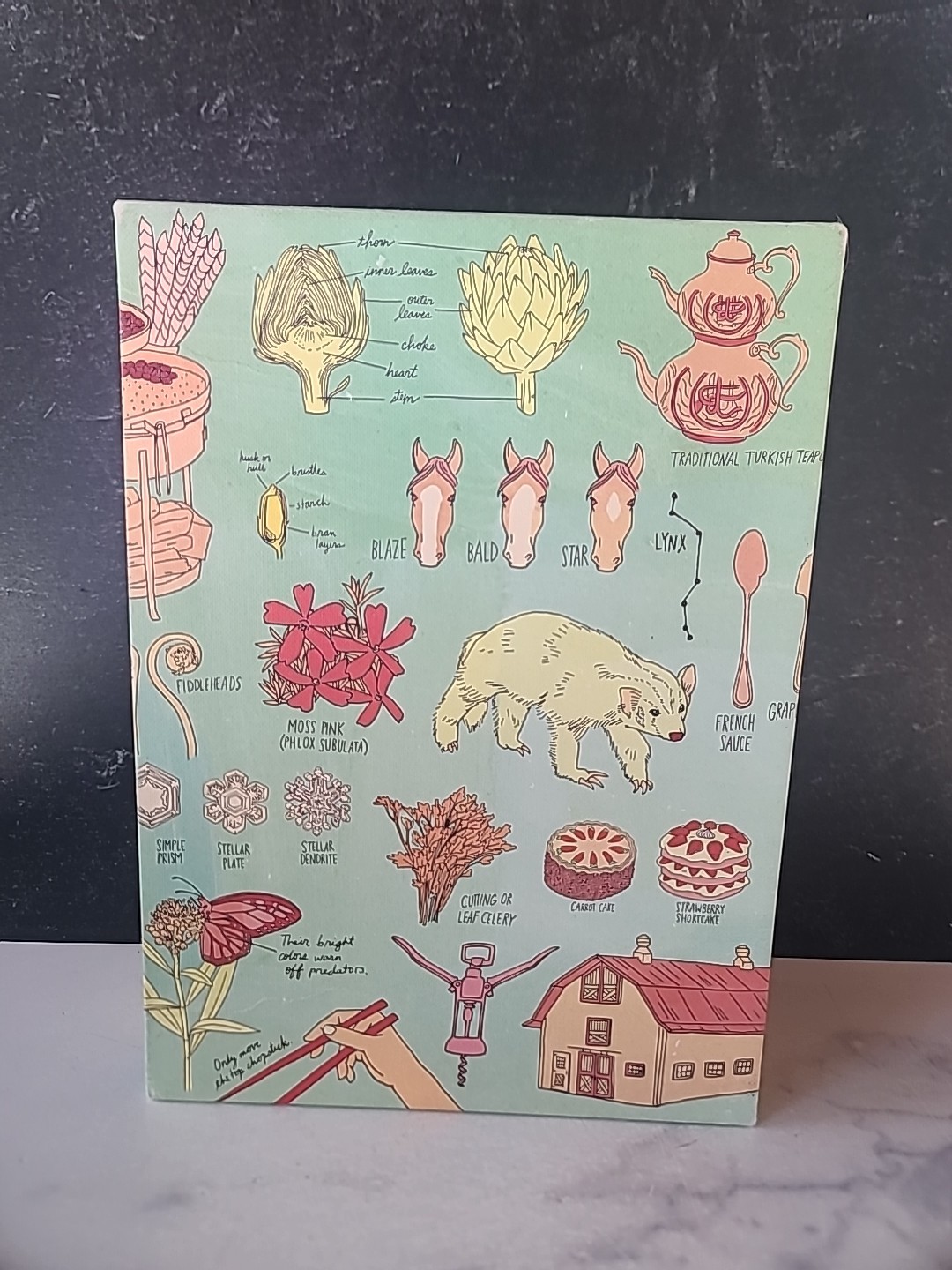 Julia Rothman Collection : Farm Anatomy, Nature Anatomy, and Food Anatomy by…