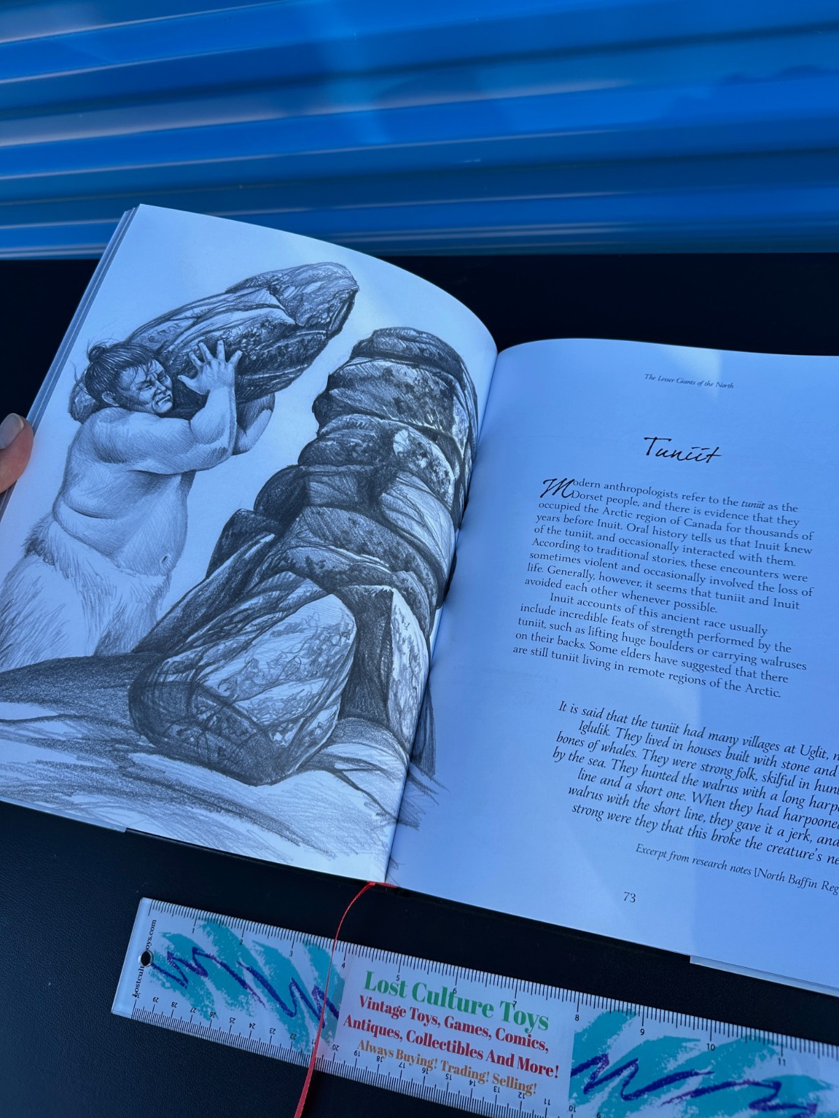 RARE 2014 The Hidden A Compendium Of Arctic Giants Faeries And Others By Neil C
