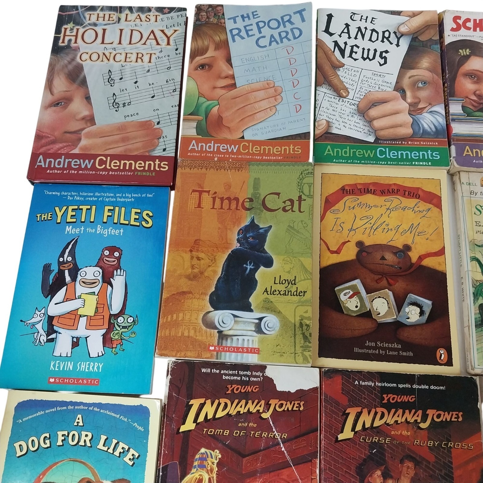 Early Chapter Books Boys Interest Lot of 26 Grade 3-6 Vintage & Modern