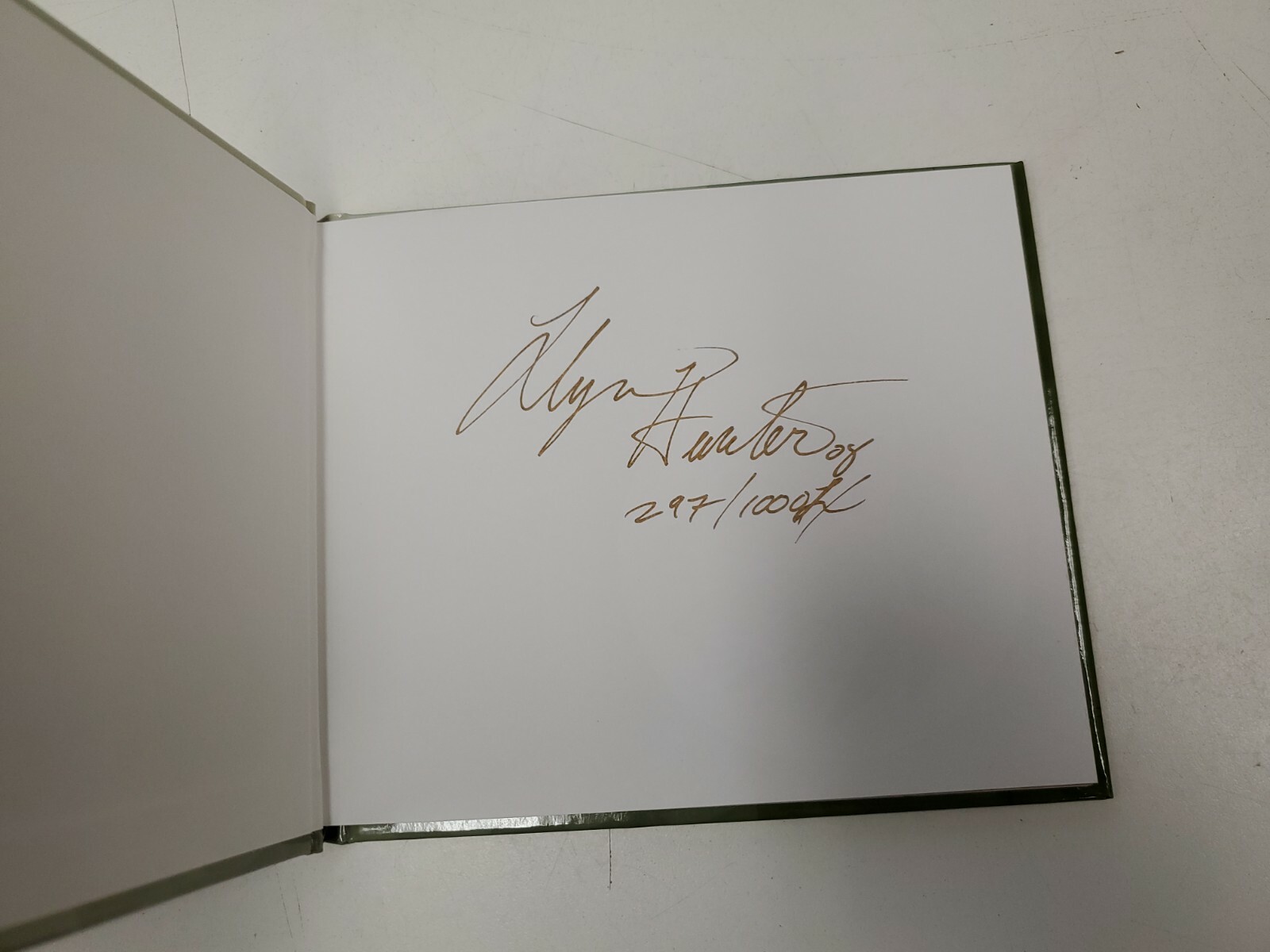 A Little Book of Magical Beings Llyn Hunter 2008 Hardcover 1st edition signed