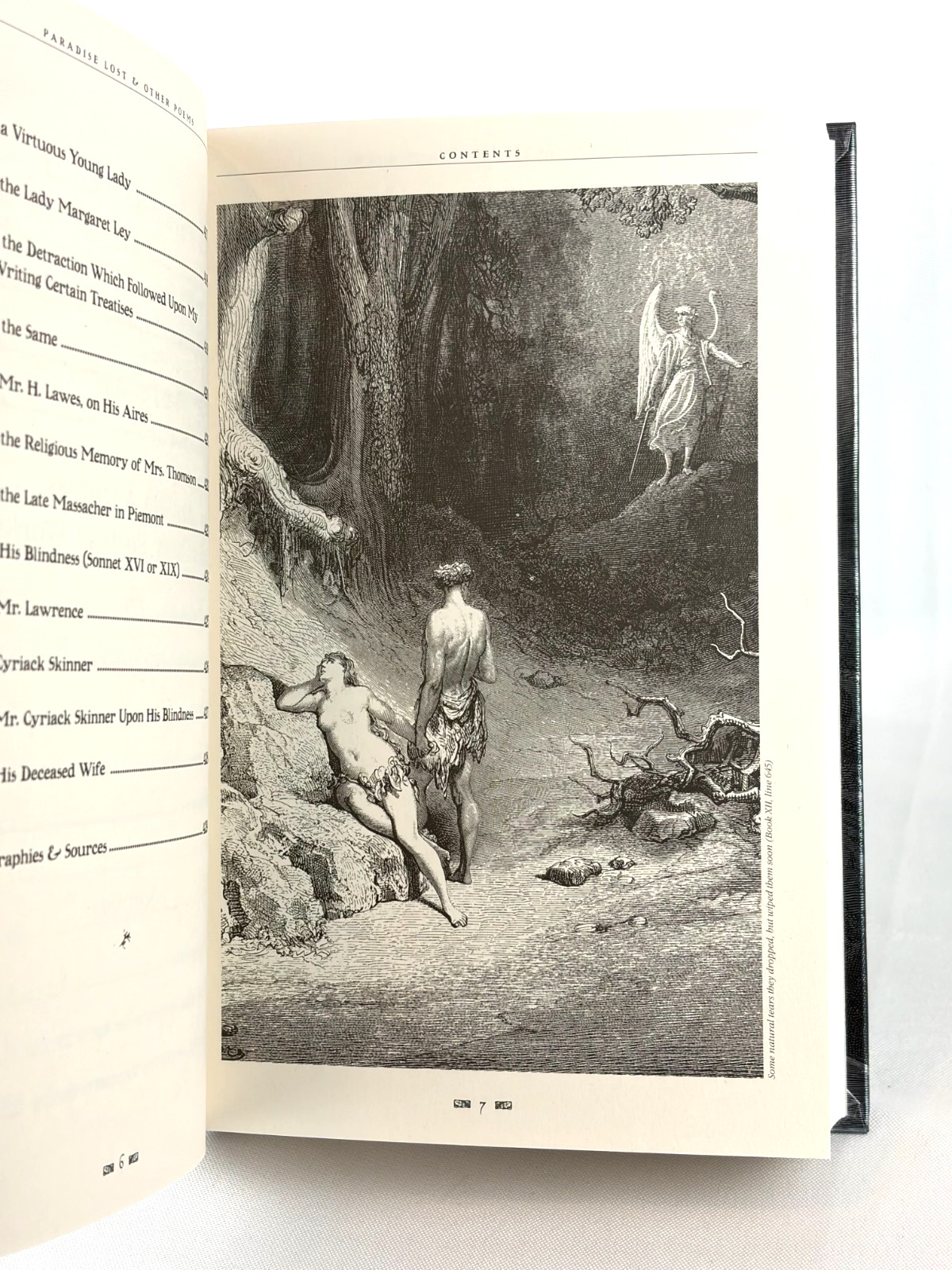 Paradise Lost & Other Poems by John Milton Gothic Fantasy Deluxe Hardcover *New*