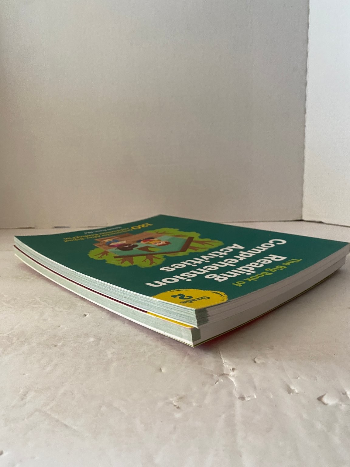 Big Book of Reading Comprehension Activities Grades 2 & 3 Hannah Braun Workbook