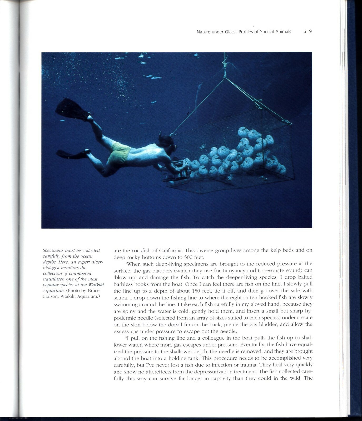 AQUARIUMS: Windows to Nature. Brand new.