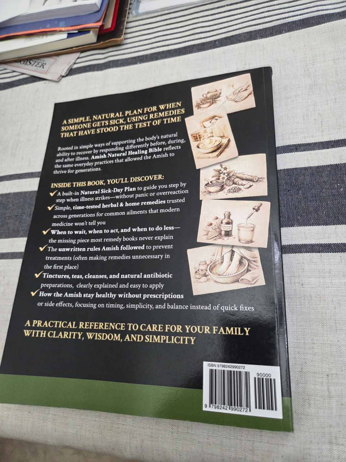 Amish Natural Healing Bible(2025 Trade Paper)-LIKE NEW/FAST SHIPPING