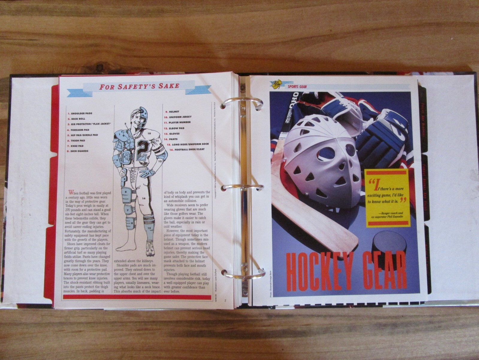 Sports Pages The Book for Fans 1996 Newfield, Binder, 10 Divider Tabs, 50 Pages