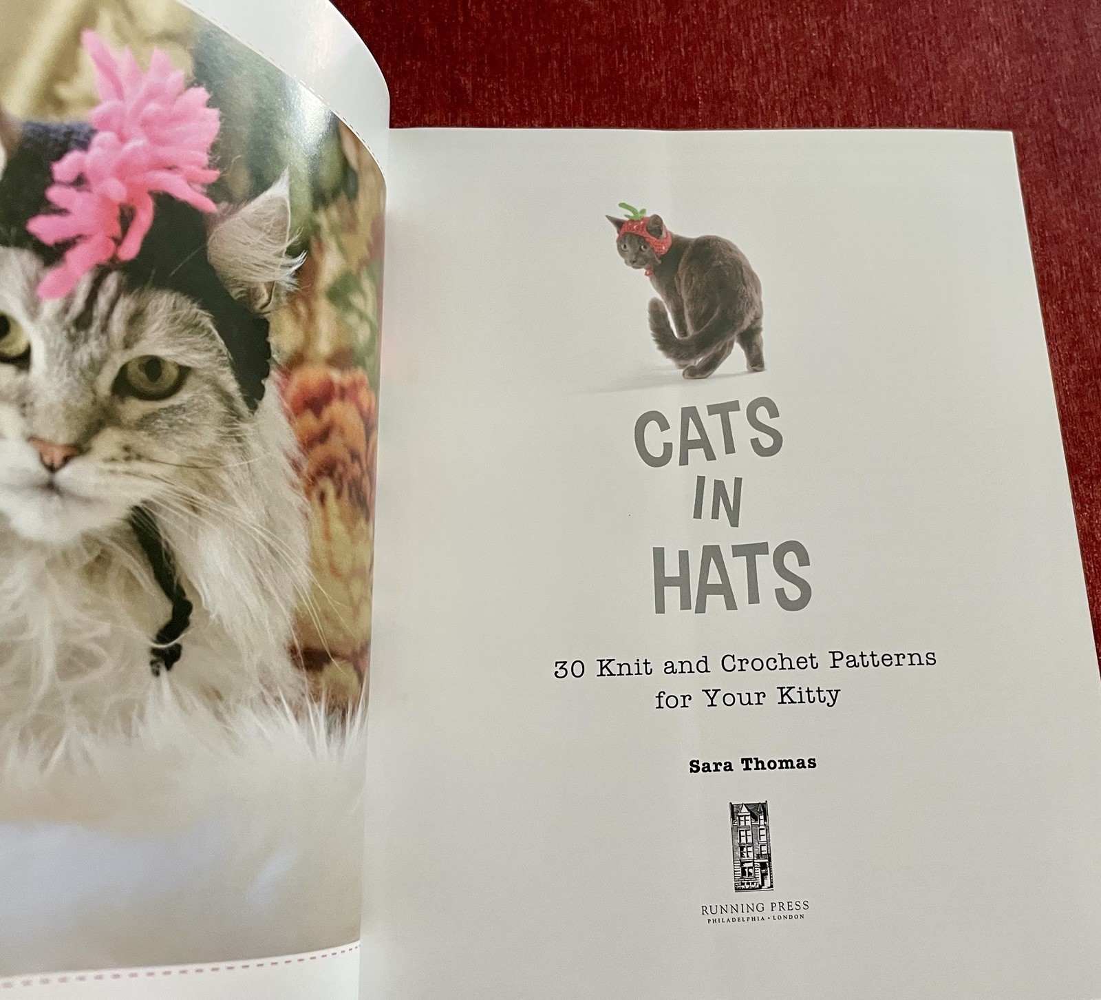 Cats in Hats: 30 Knit & Crochet Patterns for Your Kitty- Sara Thomas EUC PB 2015
