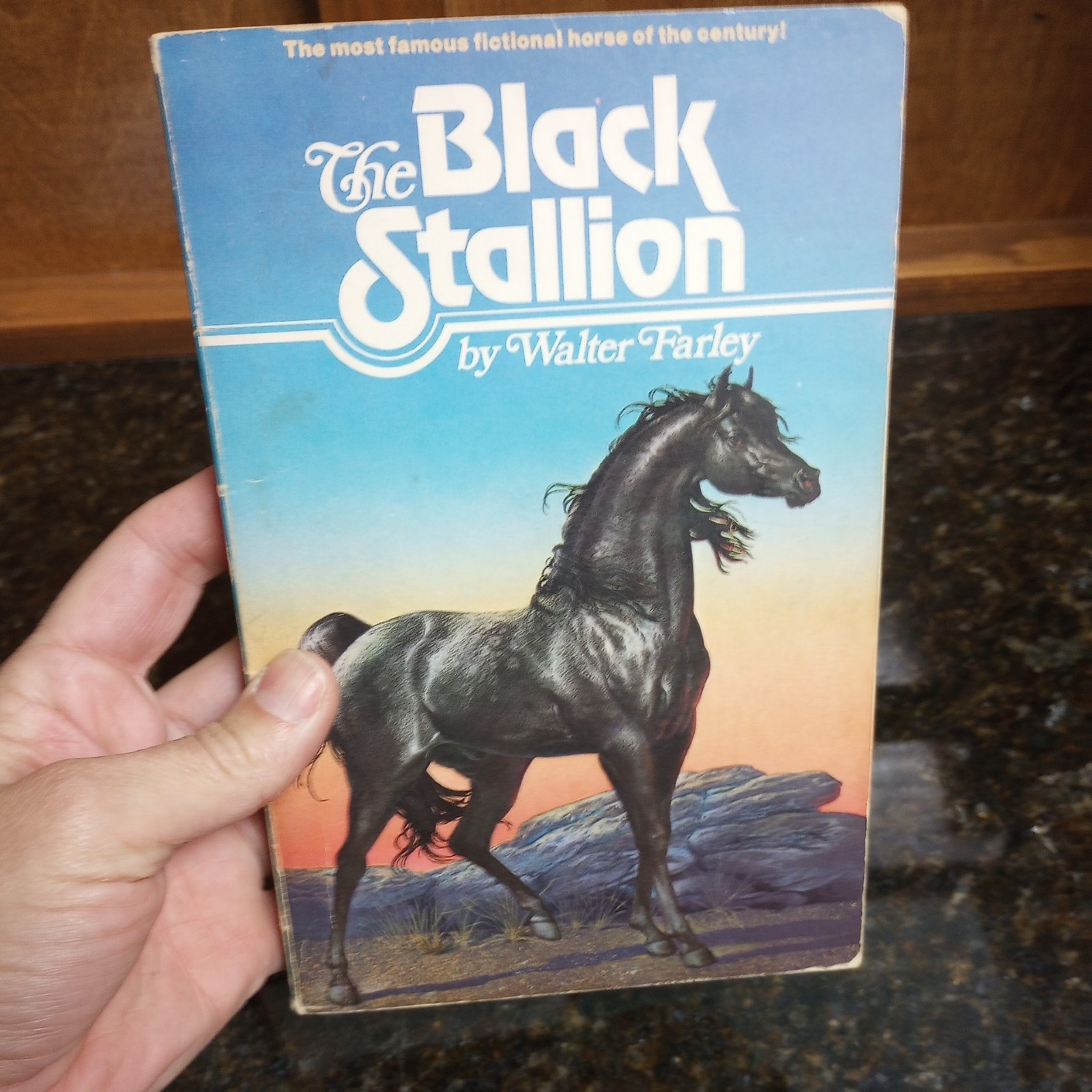 The Black Stallion Set Of varies Paperback Books 1980’s Walter Farley LOT of 6