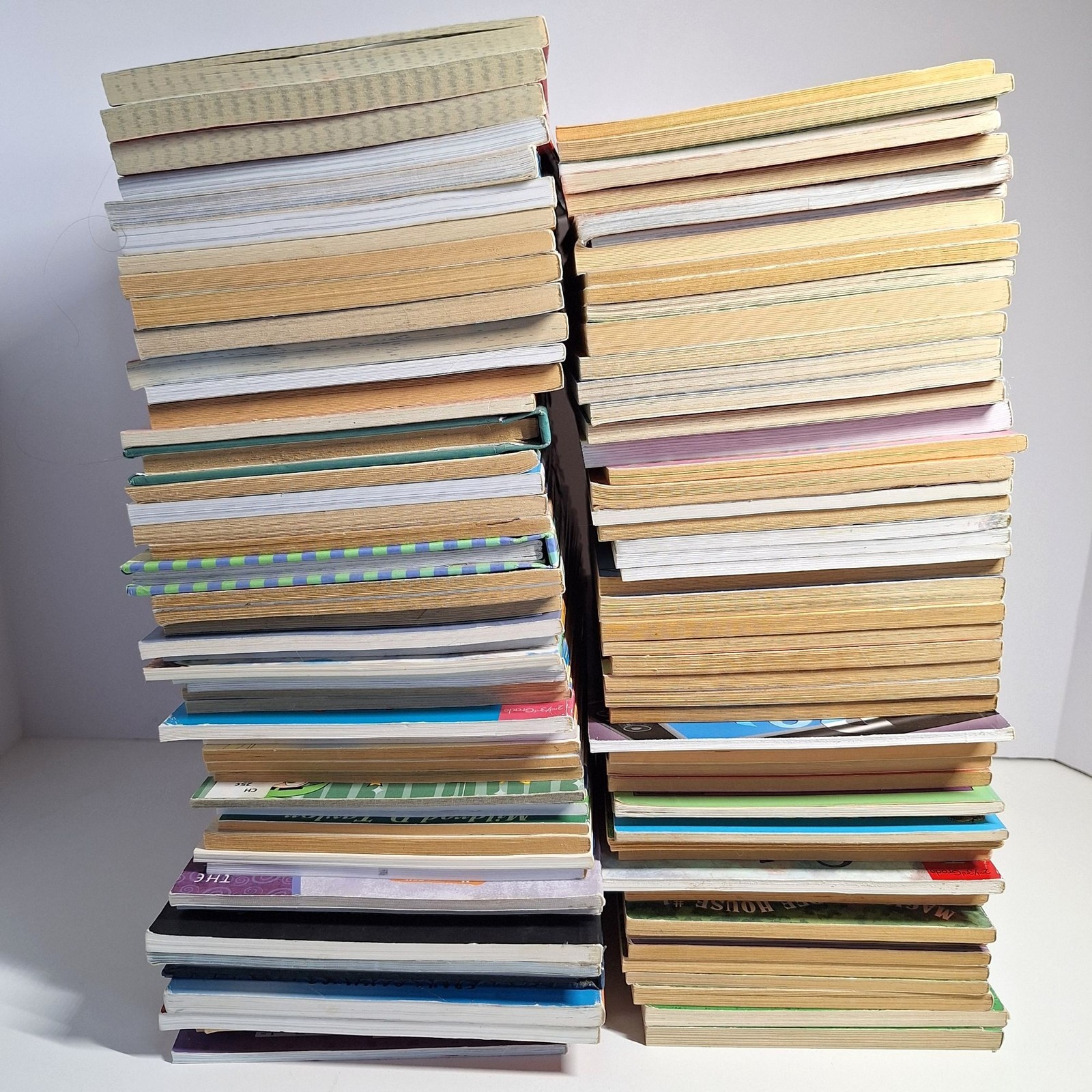 Easy Beginners Chapter 100+ Book Lot Young Readers Boys & Girls Series Mixed