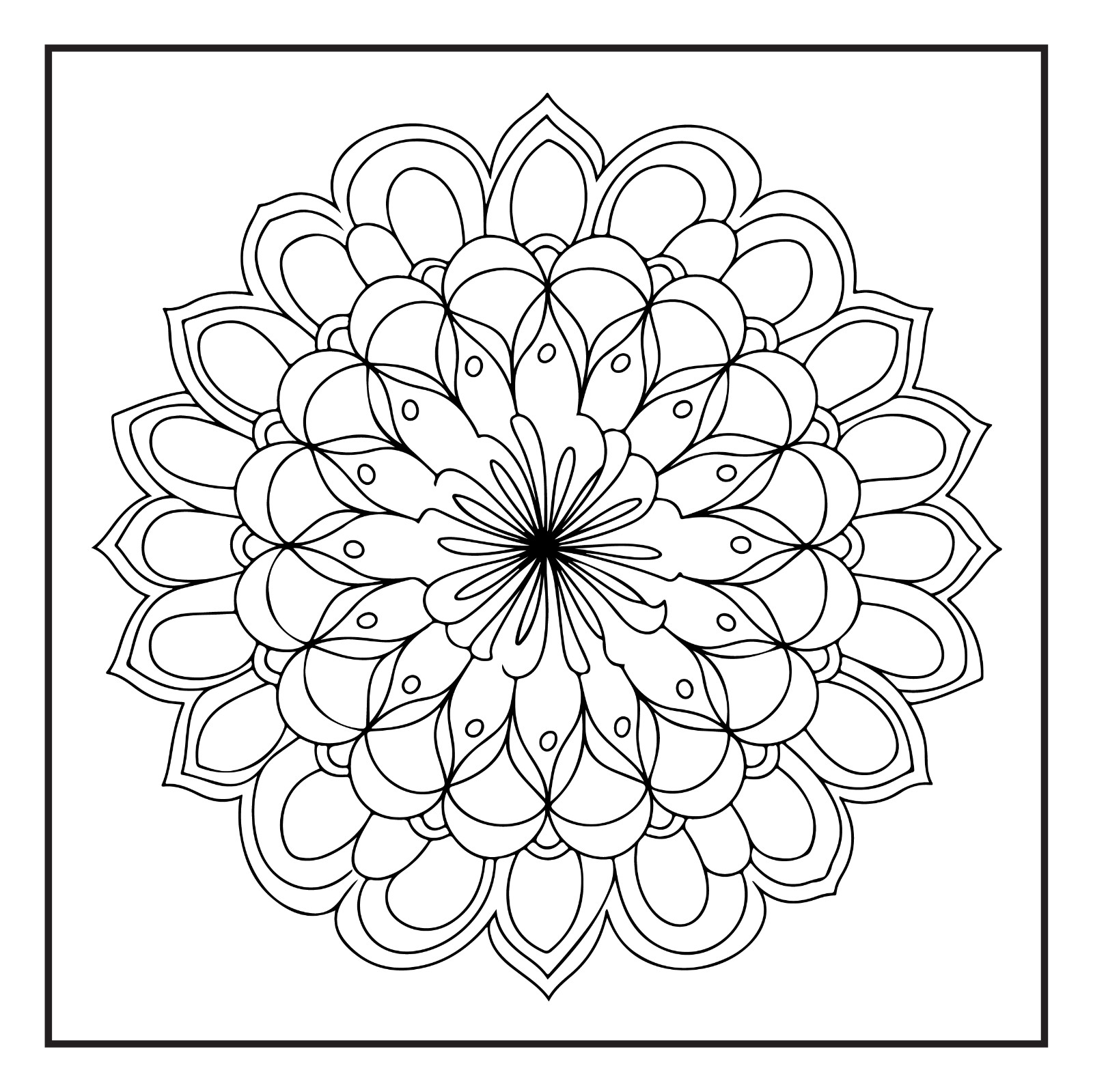 Rockridge Press Mindfulness Mandalas Coloring Book Spiral Bound Coloring Book