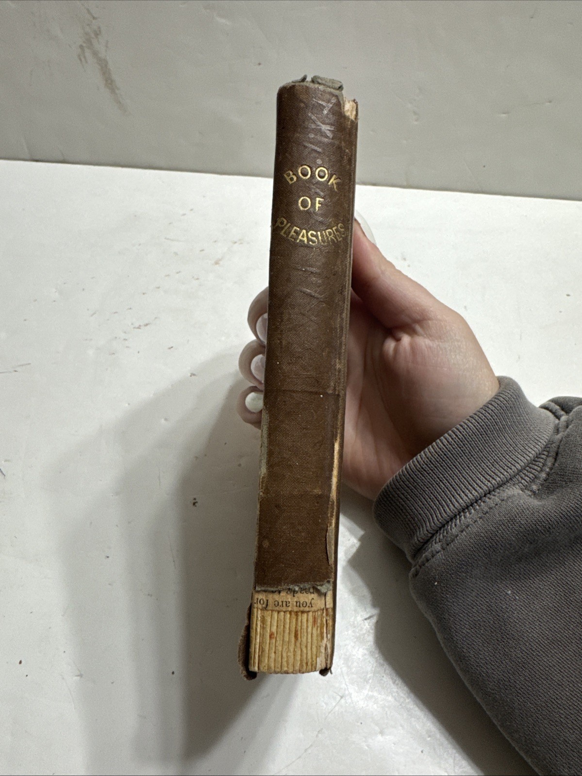 Vintage Book of Pleasures: Hope; Memory; Imagination; Campbel et al (1838) HB