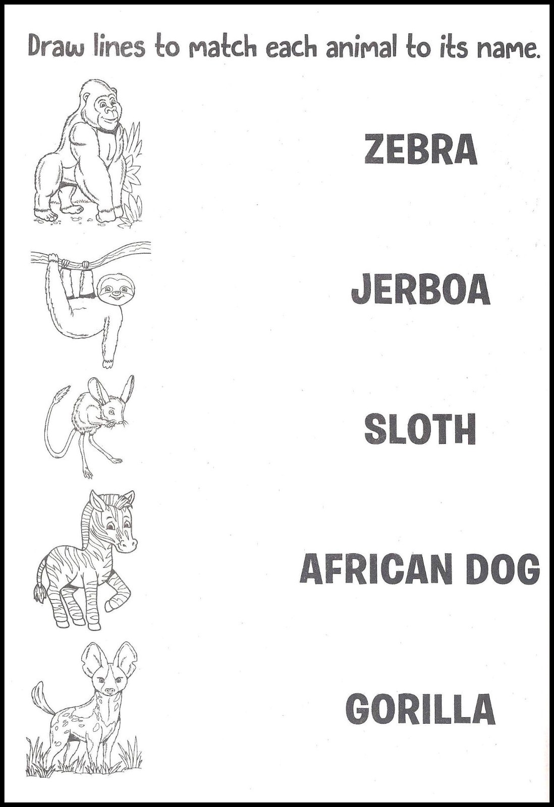 Born To Be Wild – Coloring & Activity – Book