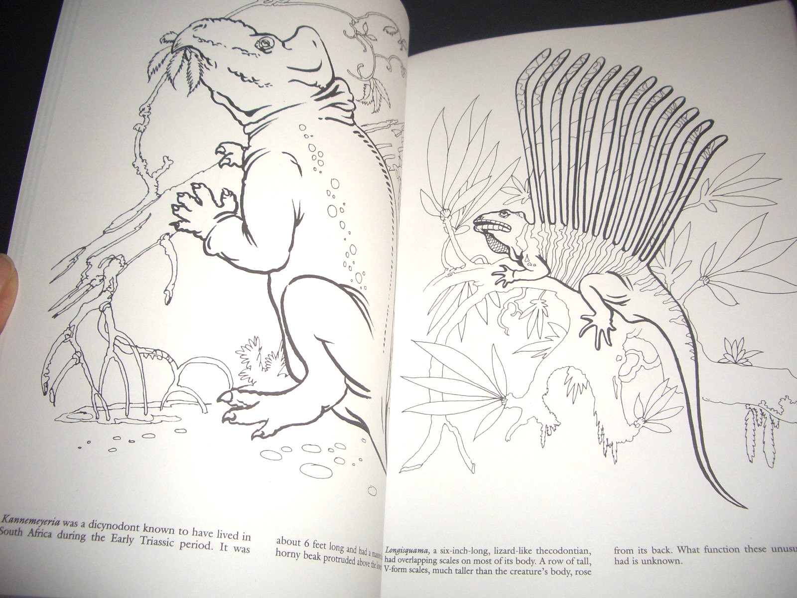 Dinosaurs + Prehistoric Creatures Gigantic Coloring & Learning Book-by DOVER