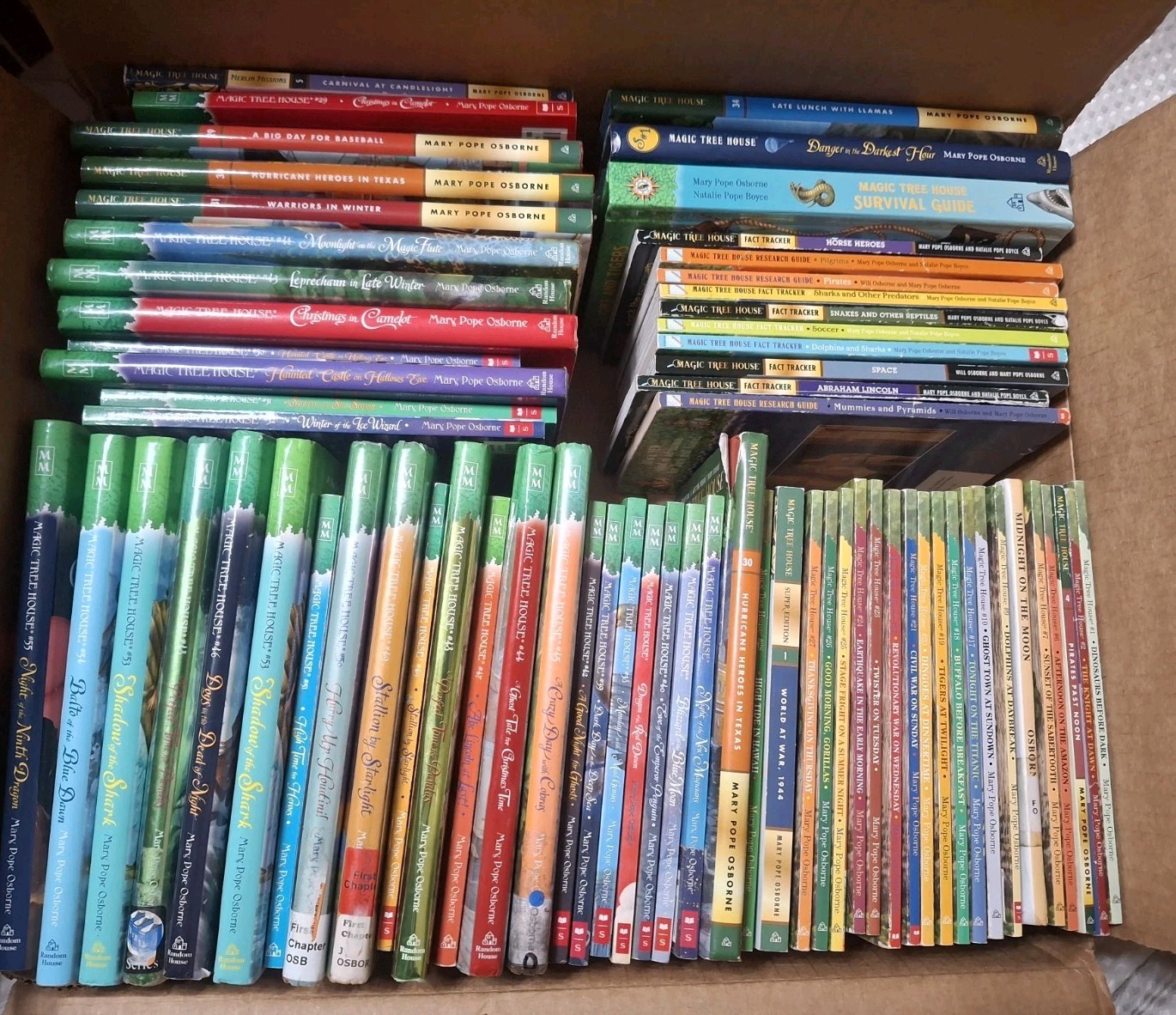 Lot Of 56 Magic Tree House Merlin Missions Hardcover/ Paperback Chapter Books
