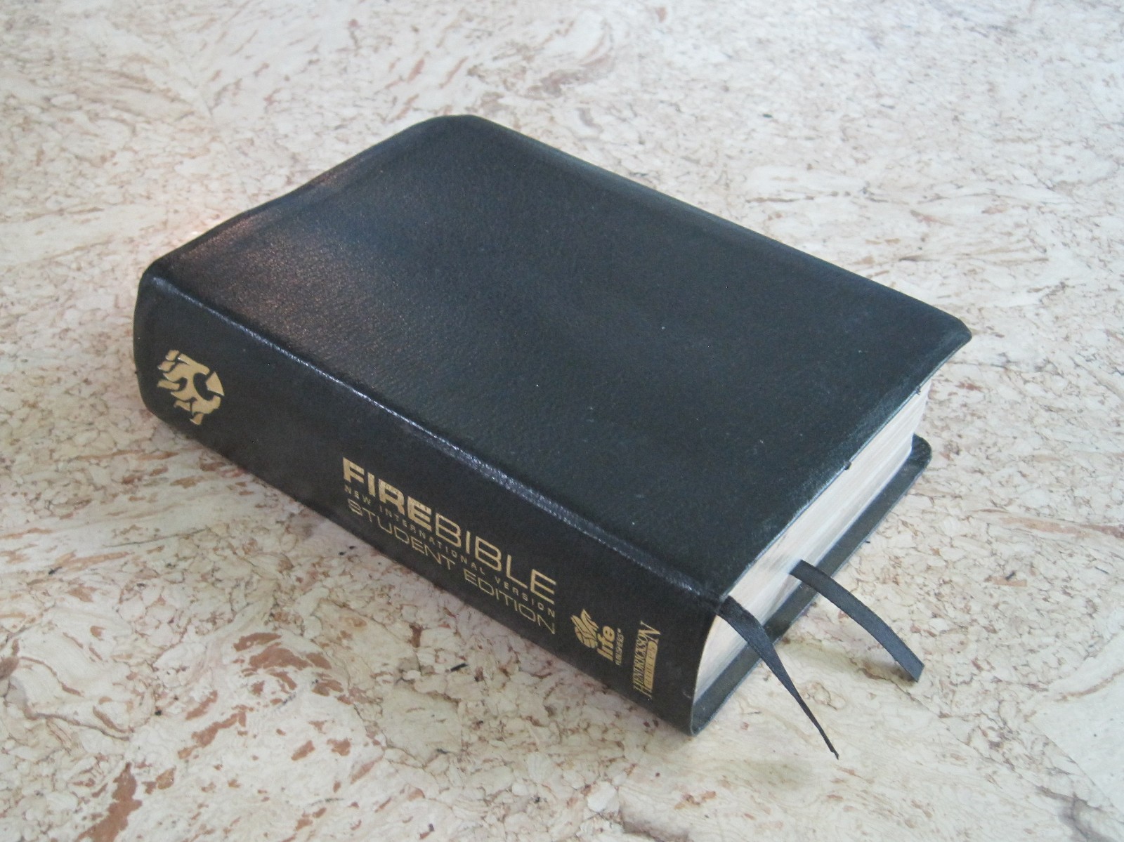 NIV Fire Bible: New International Version Student Edition – Black Bonded Leather