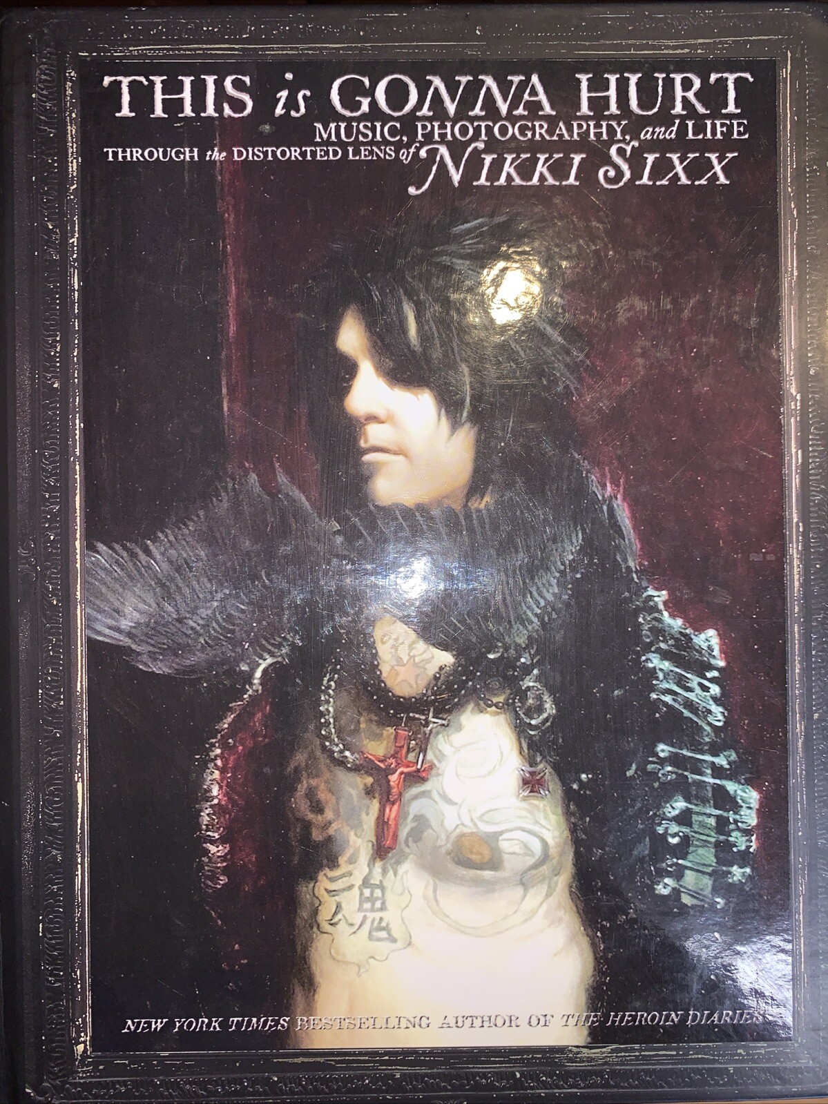This is Gonna Hurt Picture Book PB by Nikki Sixx Music Photos Lifestyle Vivid