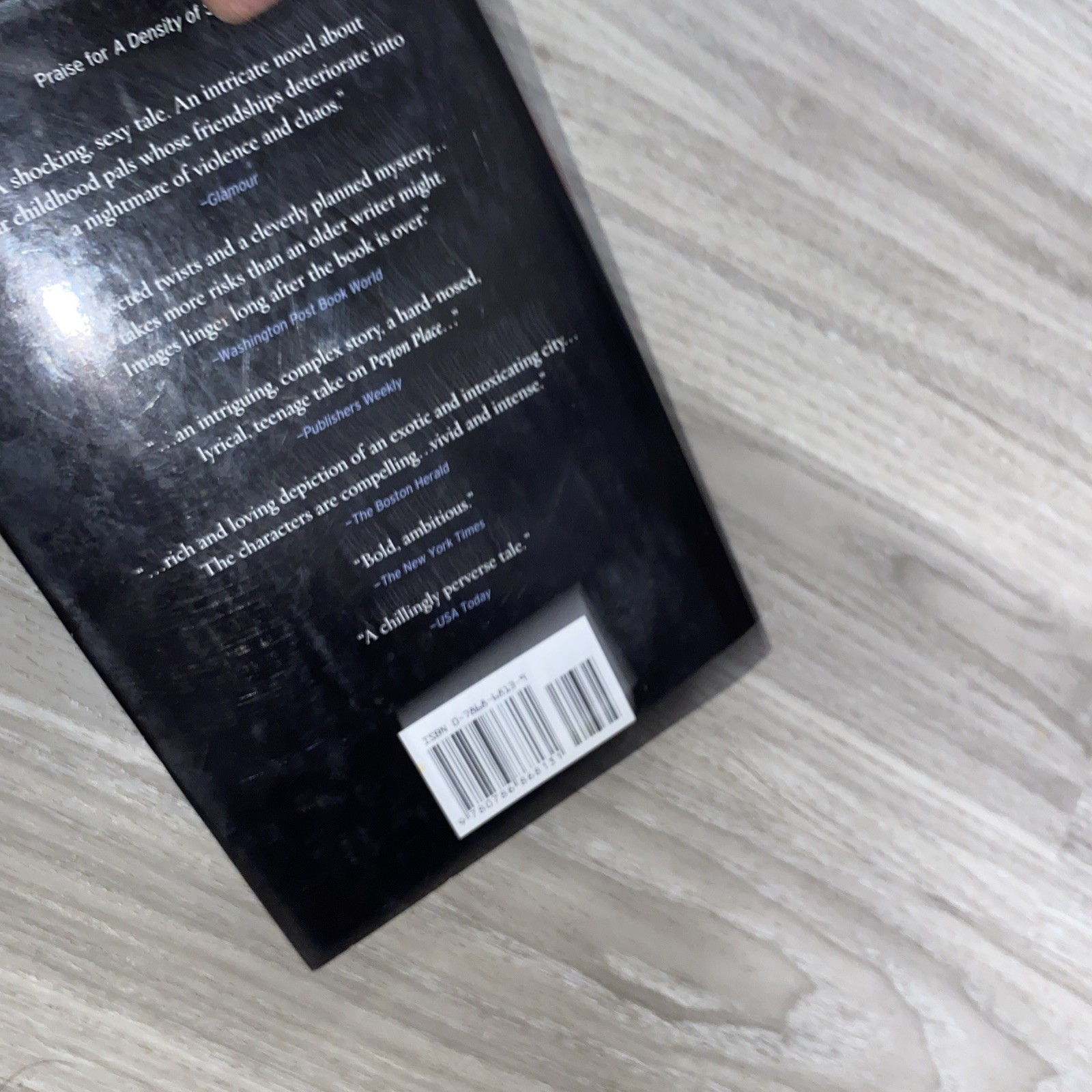 Snow Garden : A Novel by Christopher Rice (2002, Hardcover)