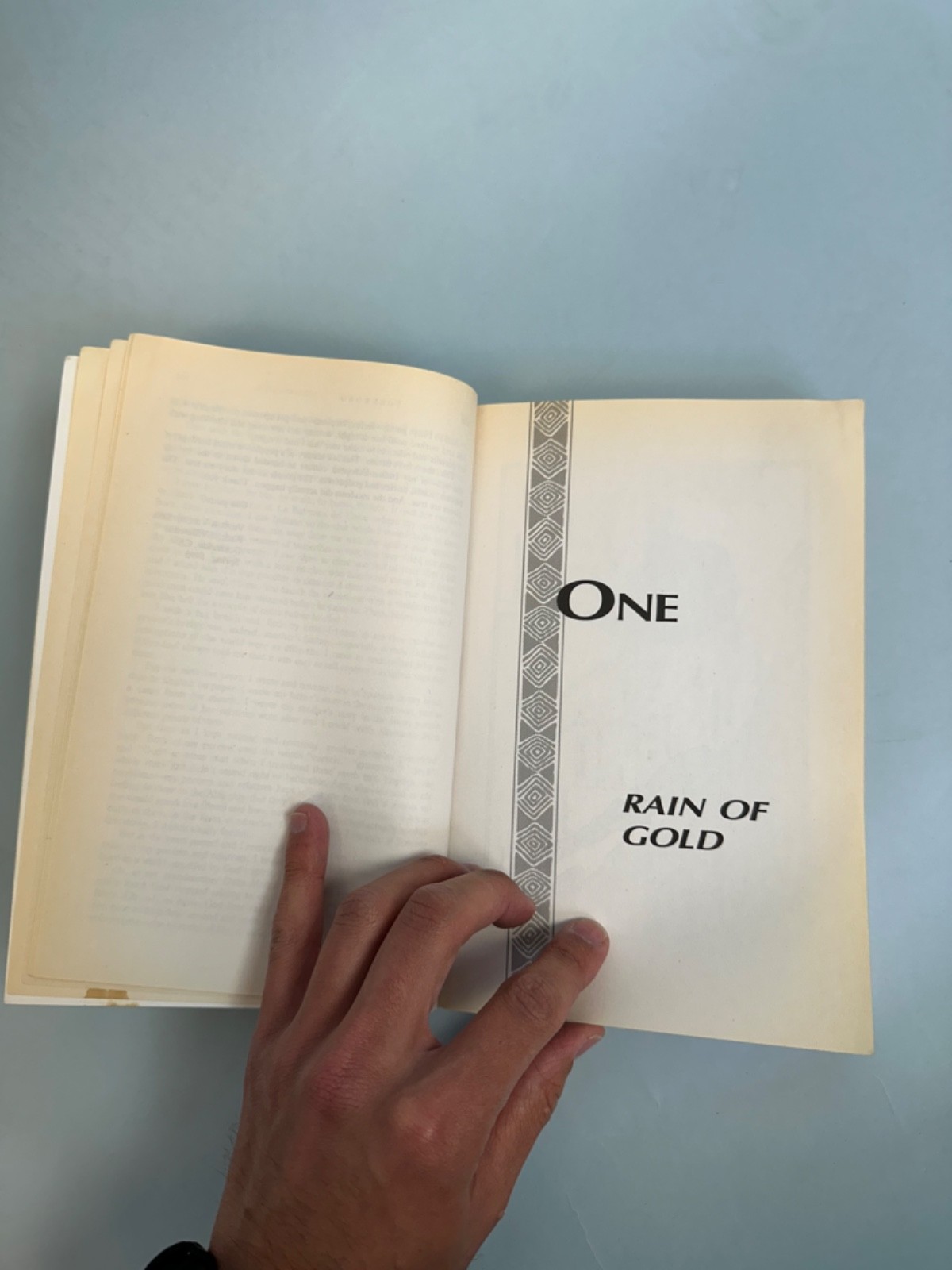Rain Of Gold book by Victor Villasenor