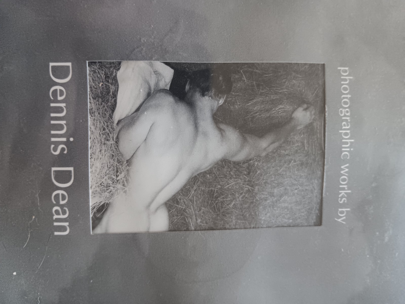 Within Reach Dennis Dean Gay Nude Male Art Photo Book 1st Edition 2001 Sealed