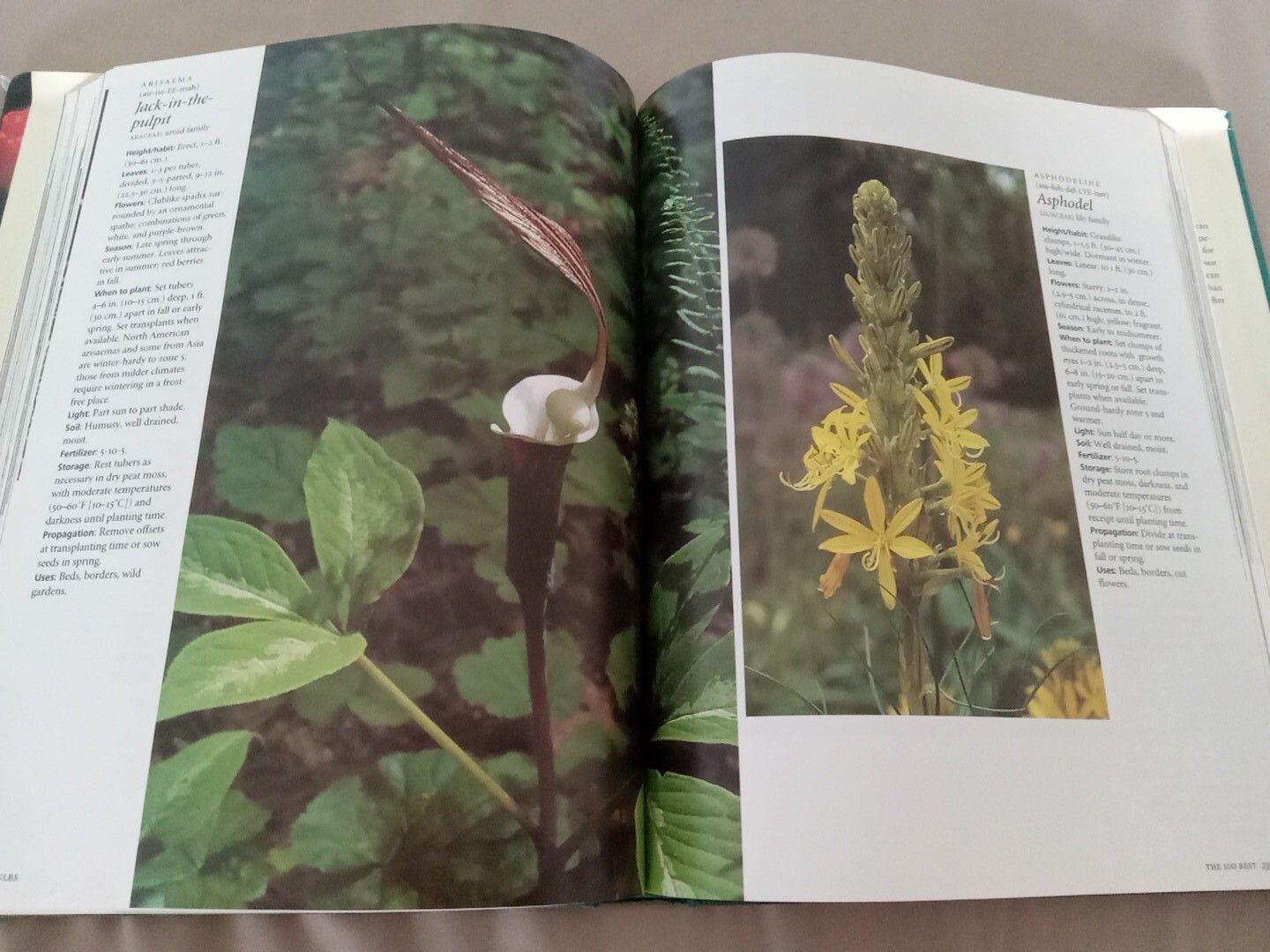 The 400 Best Garden Plants Elvin McDonald Hardcover Dustjacket 1998 Vintage Book