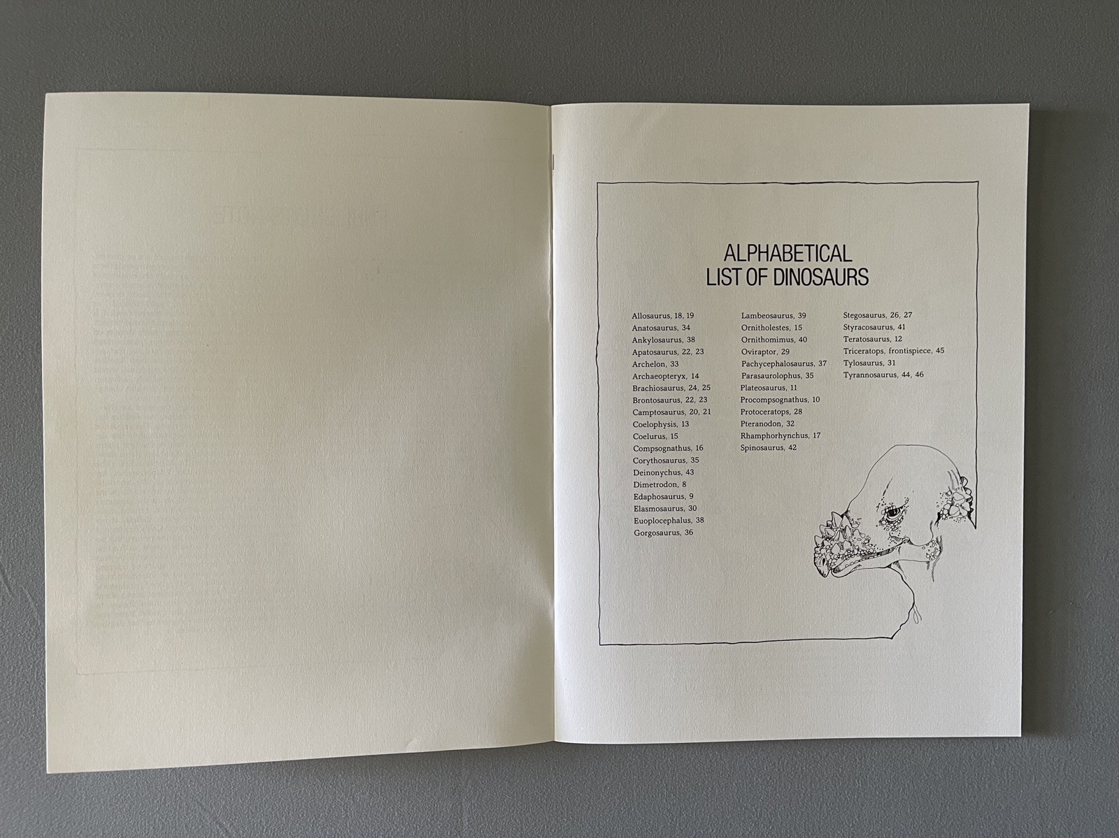 Vintage 1980 The Dinosaur Coloring Book by Anthony Rao for Dover Publications