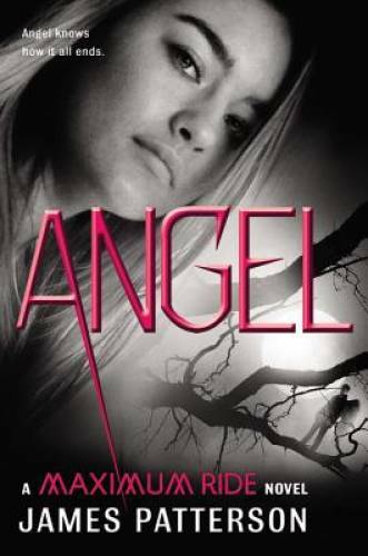 Angel: A Maximum Ride Novel – Hardcover By Patterson, James – GOOD