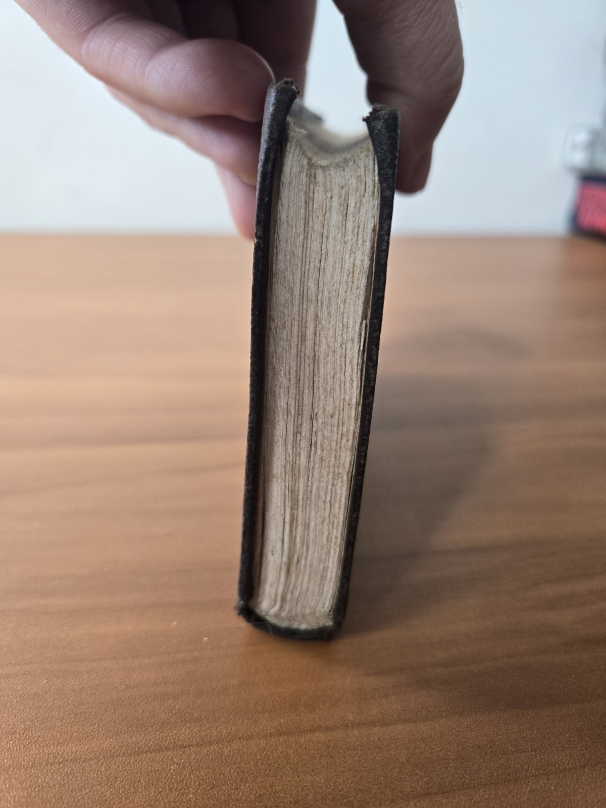 SALLUST – Translated by William Rose HC (1840? Year Unkown) Harper Pub. J94