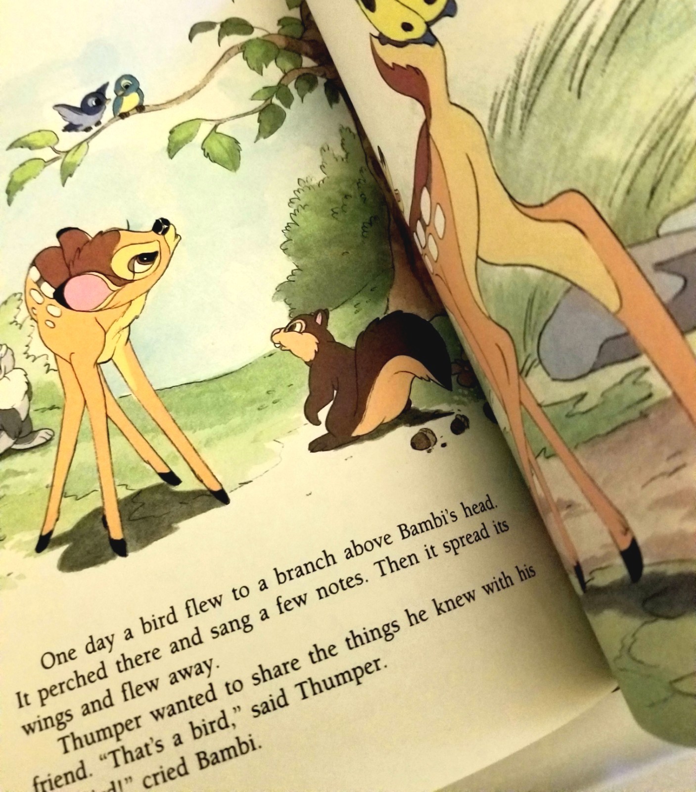 Walt Disney’s Bambi And His Forest Friends A Book About Friendship Golden Book