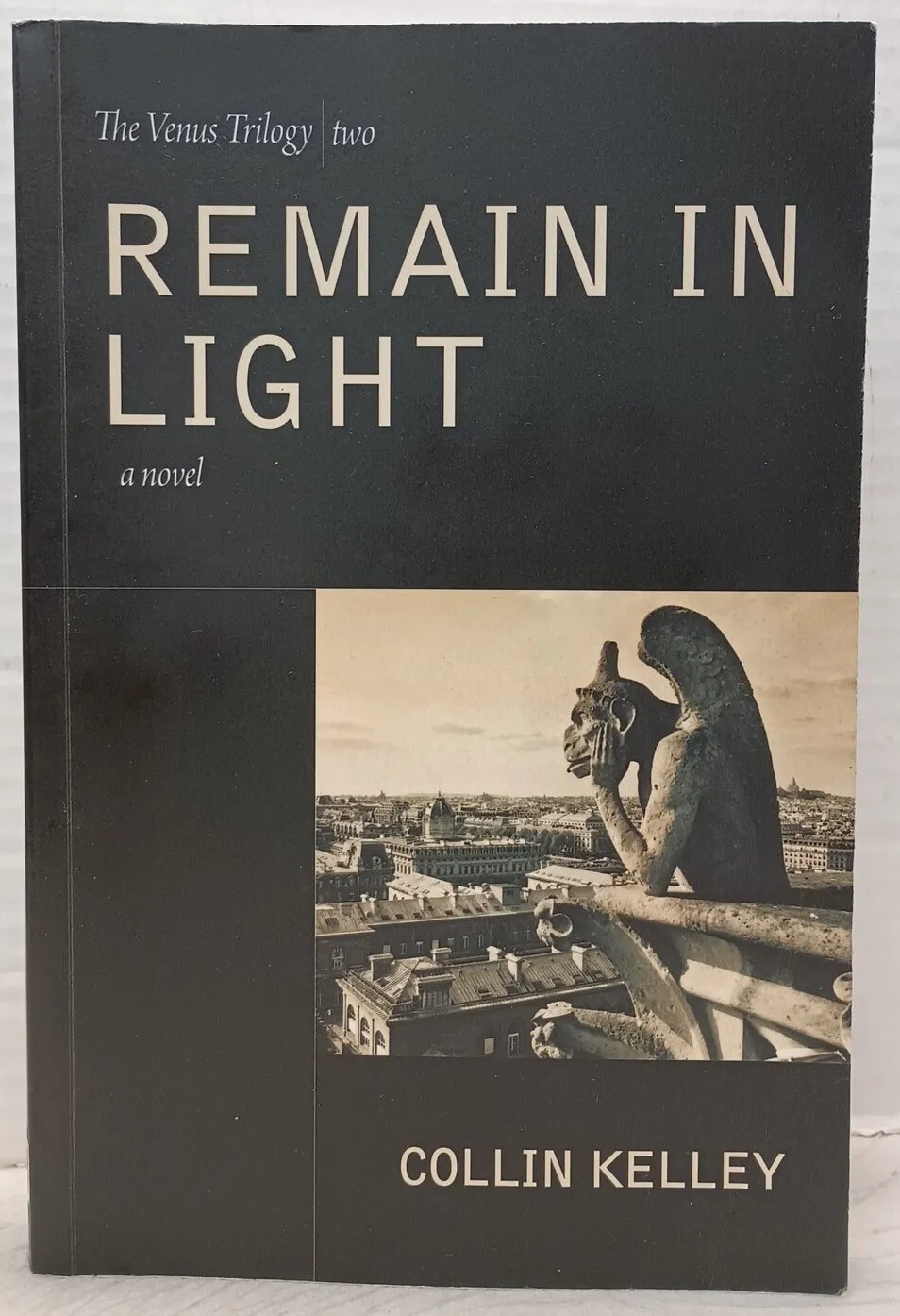 REMAIN IN LIGHT by Collin Kelley (2013, Pb) * FREE SHIPPING *