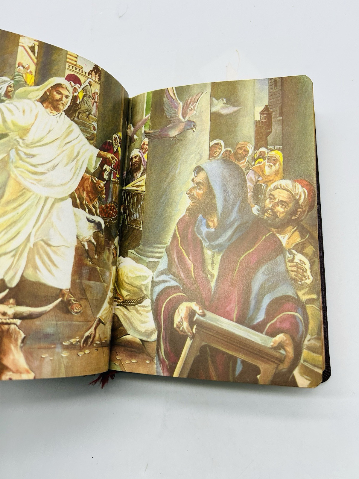 1954 The Life of Christ Vintage Catholic Book Edited by Rev O’Connell HC