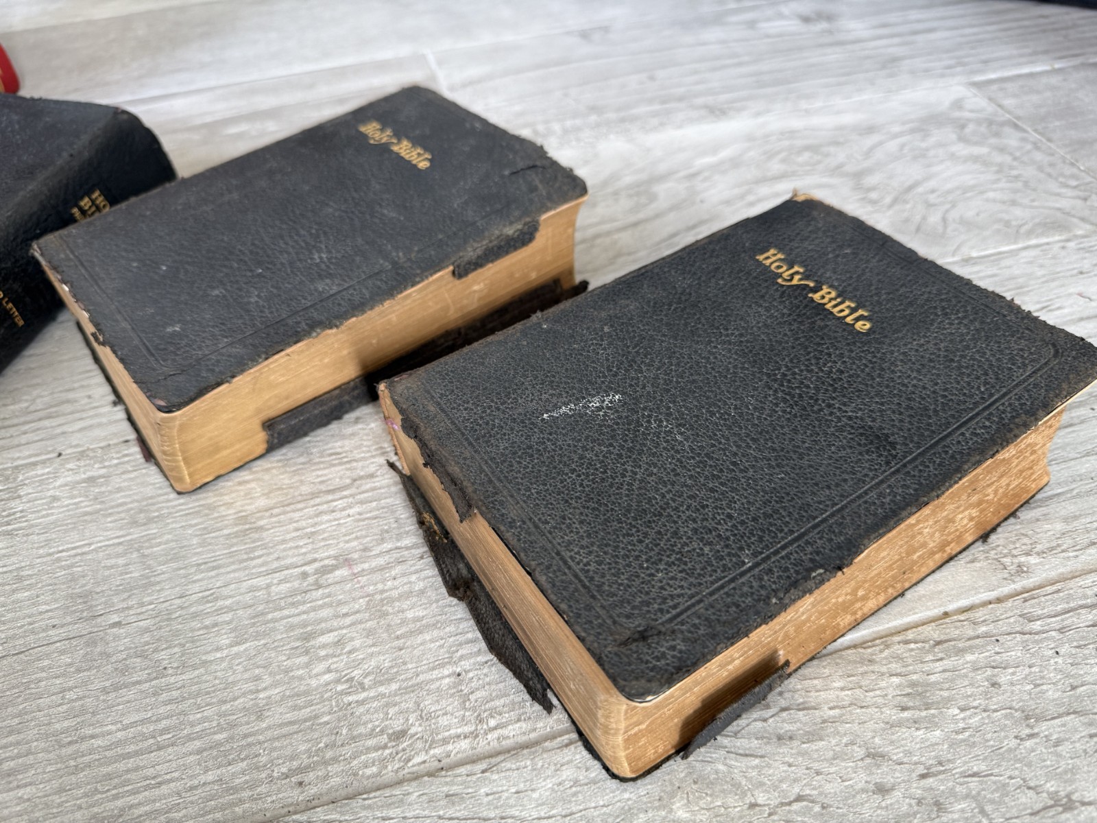 ✝️ National Bible Press Holy Bible Old & New Testament Pronouncing Red Letter
