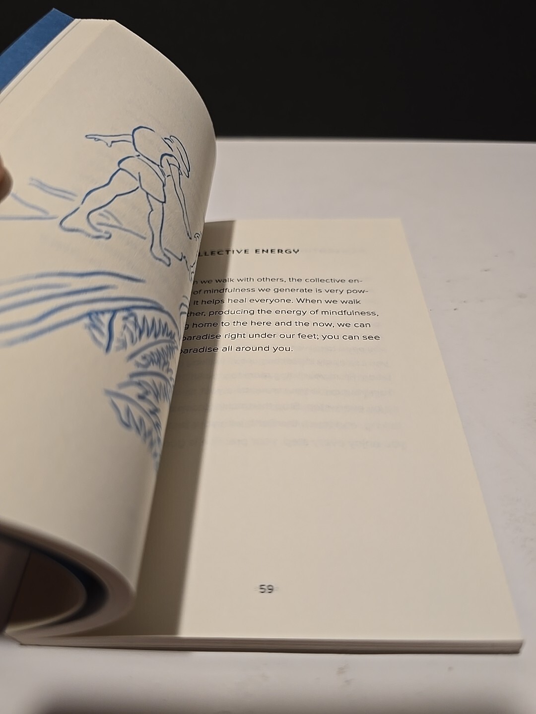 Mindfulness Essentials Ser.: How to Walk by Thich Nhat Hanh (2015, Trade…