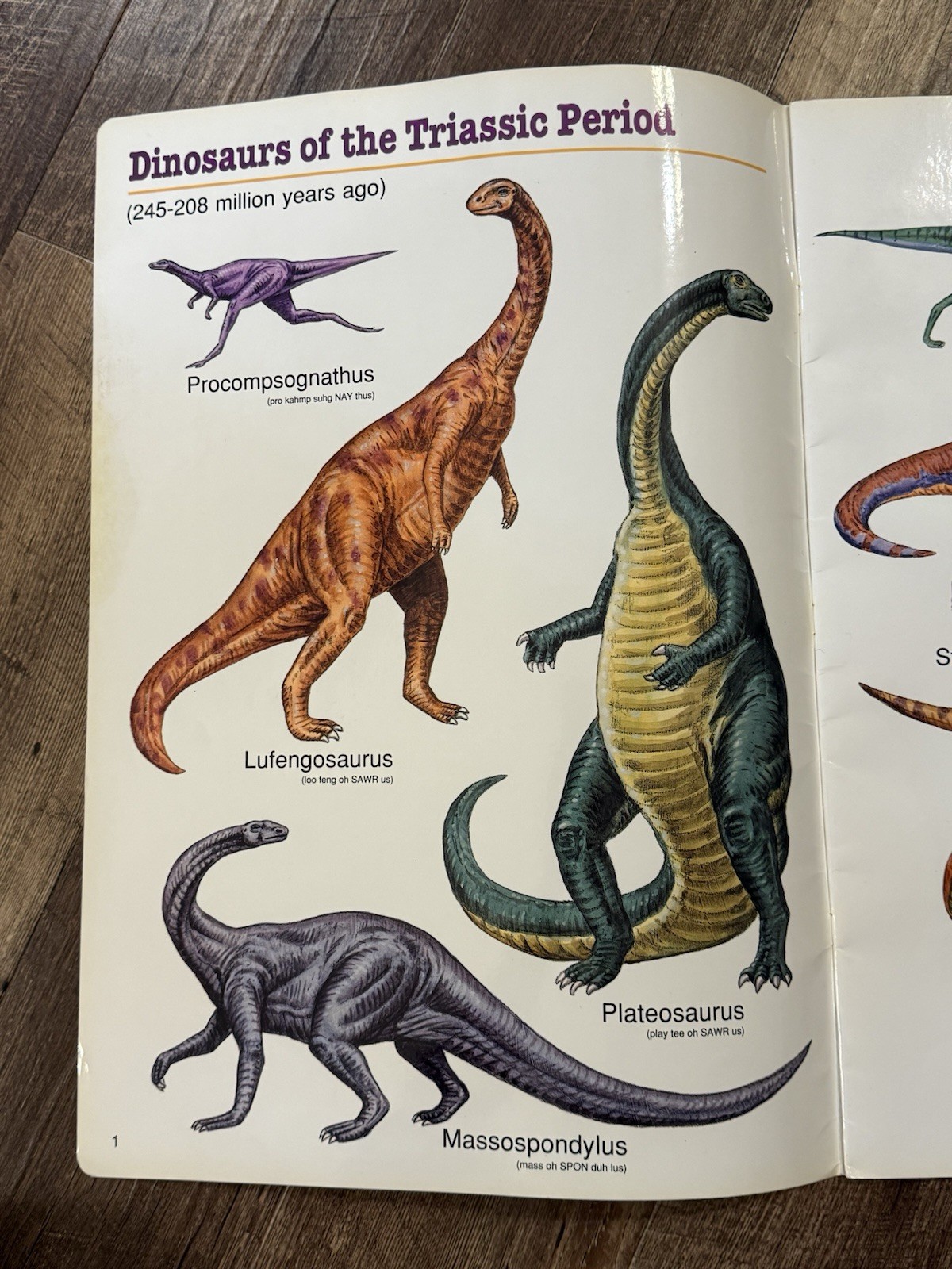 AMAZING DINOSAURS Giant Picture Gallery Book (1992, Ed. Insights, EI-3313) RARE
