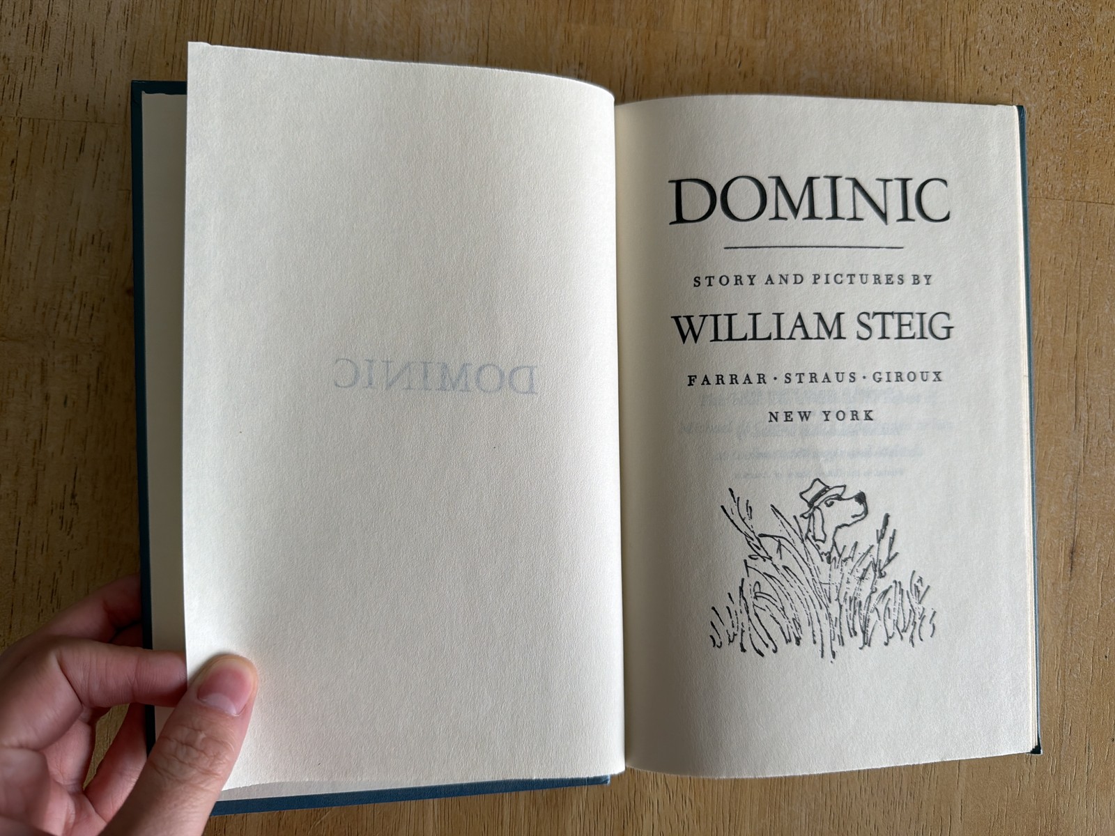 Dominic by William Steig 1972, Hardcover, Vintage 70s Children’s Book,