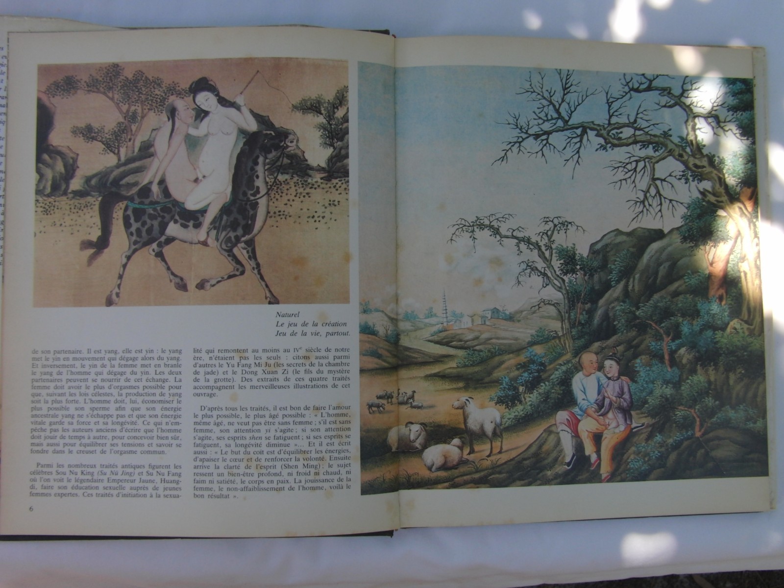 “L’EROTISME CHINOIS” HARDCOVER BOOK (IN FRENCH)-BEAUTIFUL ILLUSTRATIONS-96 PAGES