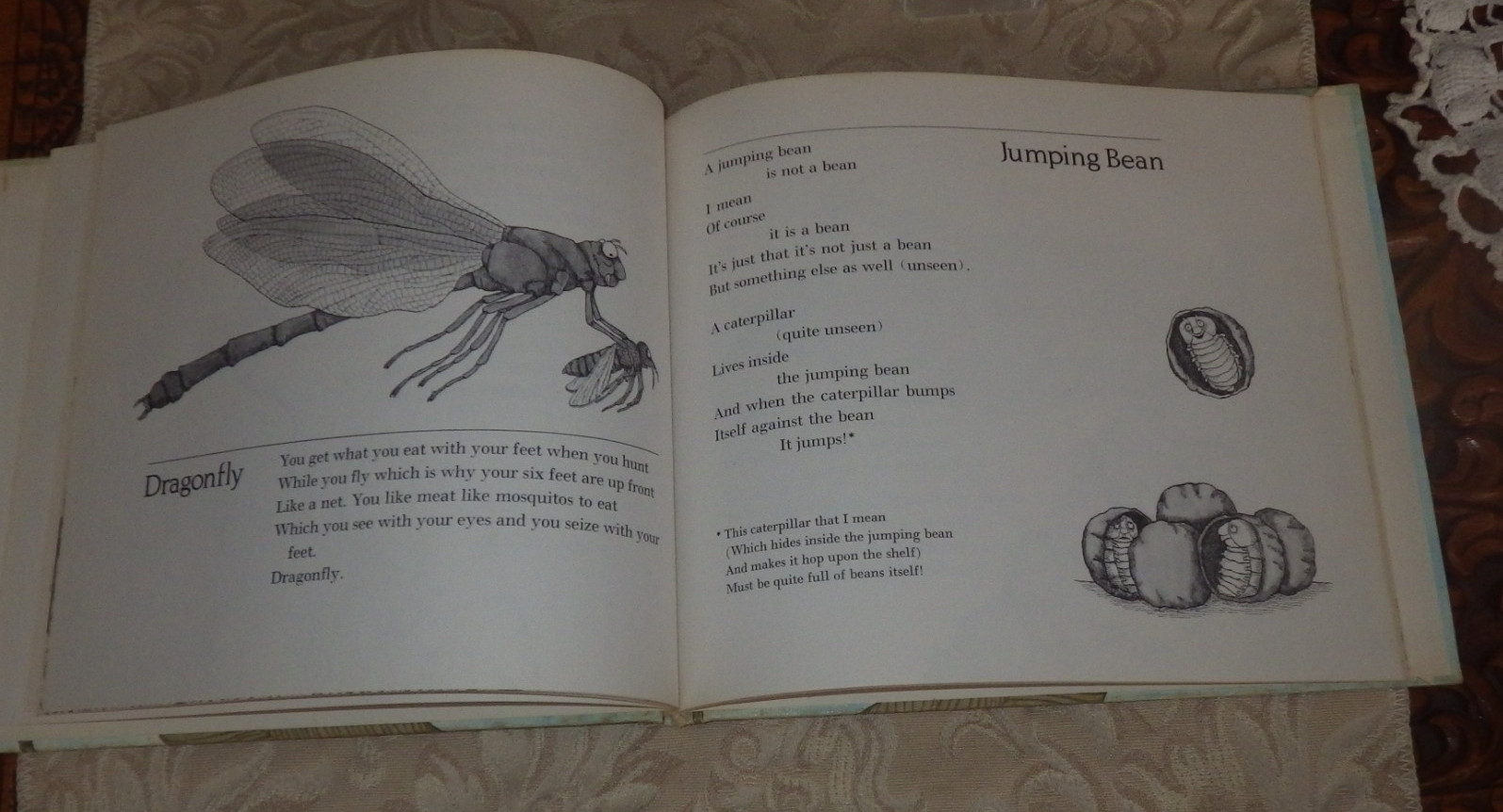 Bugs : Poems By Mary Ann Hoberman 1976 HC 1st ED in Dust Jacket RARE SIGNED!