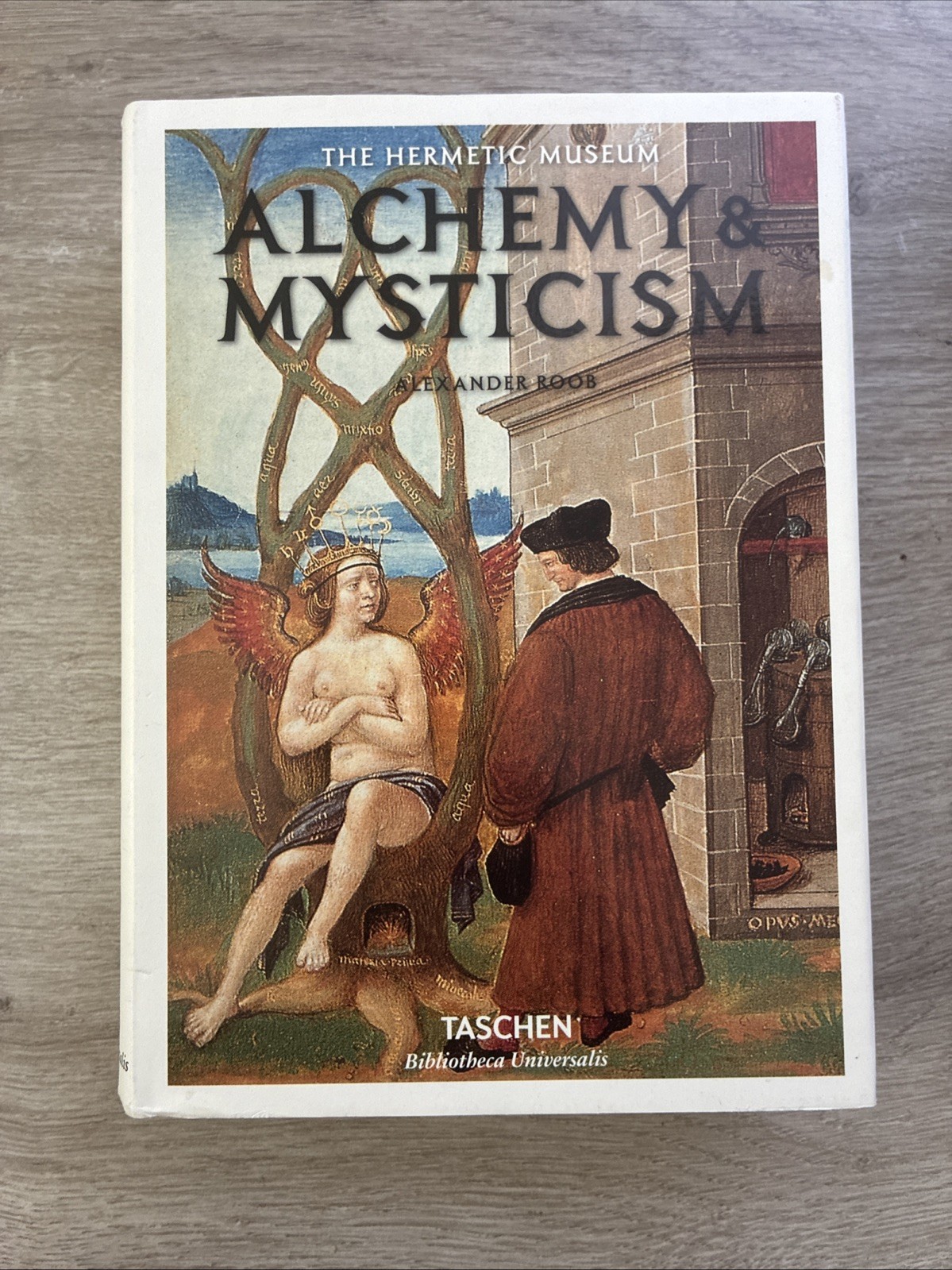 Alchemy and Mysticism Hardcover Alexander Roob