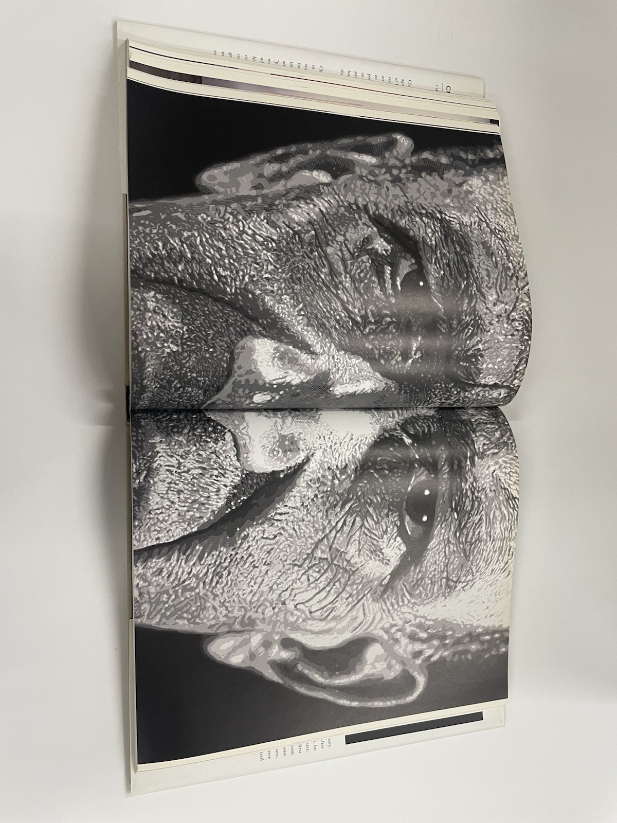 Chuck Close: Work by Christopher Finch Hardcover Prestel Used Very Good Cond