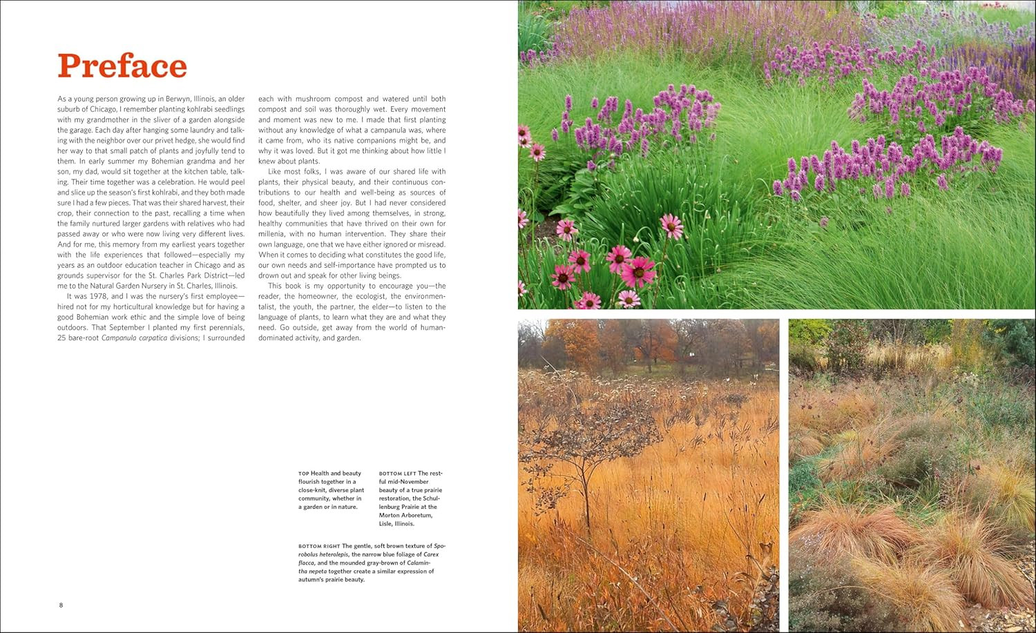 The Know Maintenance Perennial Garden