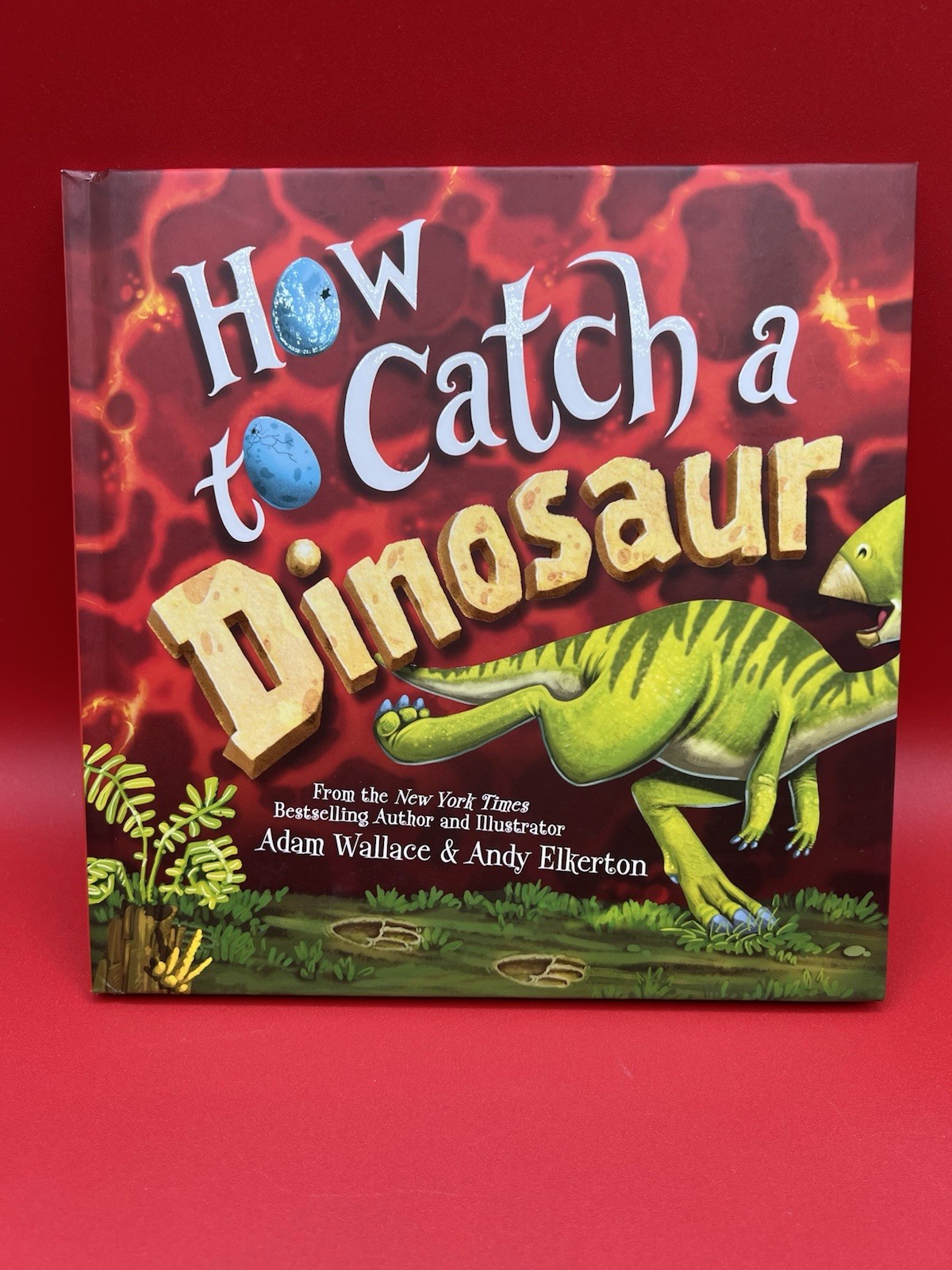 How to Catch a Dinosaur, Dinosaur Playset, How To Draw & My Special Adventure Bk