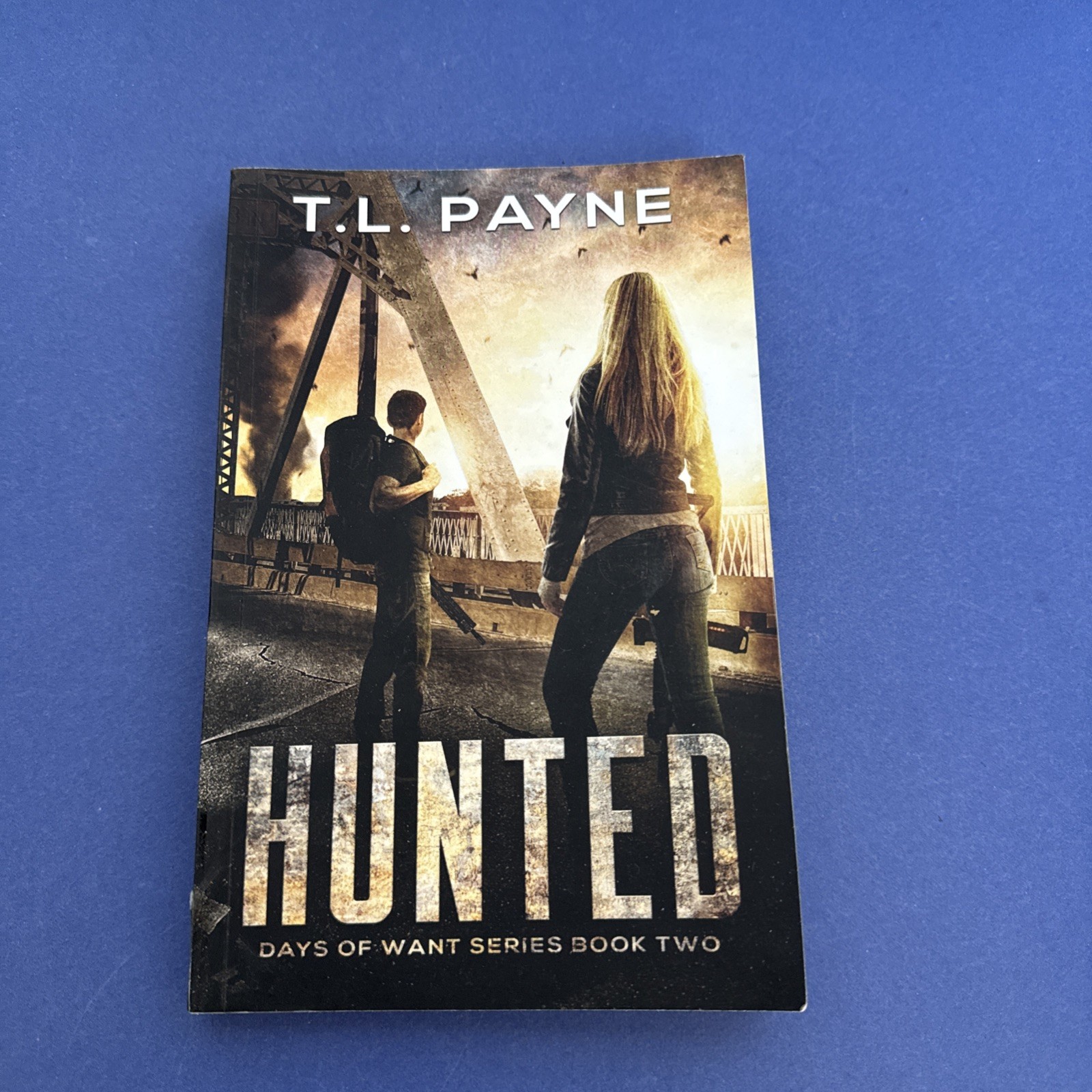 Lot of 7 ~ Trade PB Books ~ T. L. Payne ~ Complete DAYS OF WANT Series