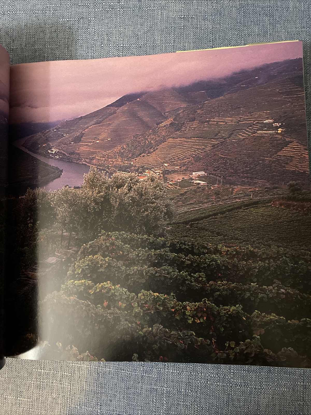 LIVING IN PORTUGAL By De Anne Stoop 255 PAGES HC DJ FREE SHIPPING 1995