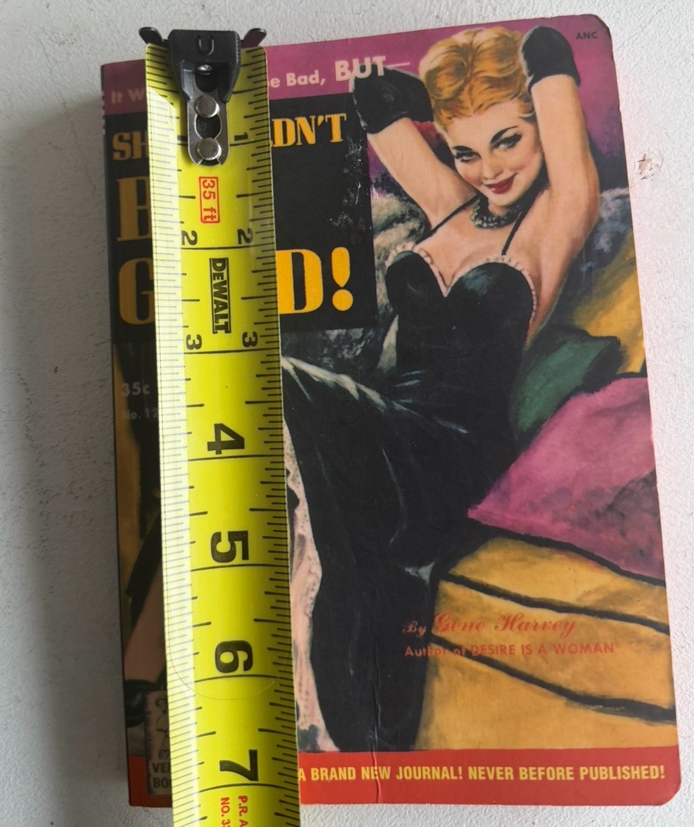 She Couldn’t Be Good Pulp Journal by Peter Pauper Press