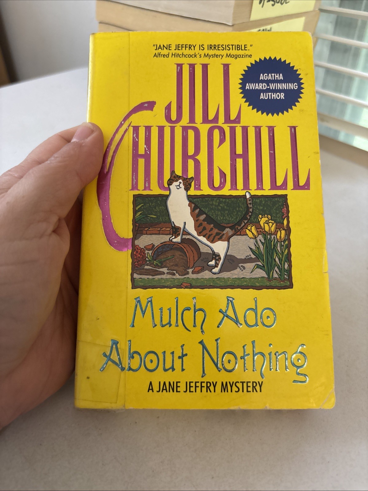 Lot of 10 – Cozy Mysteries – Mixed Authors – FREE SHIPPING