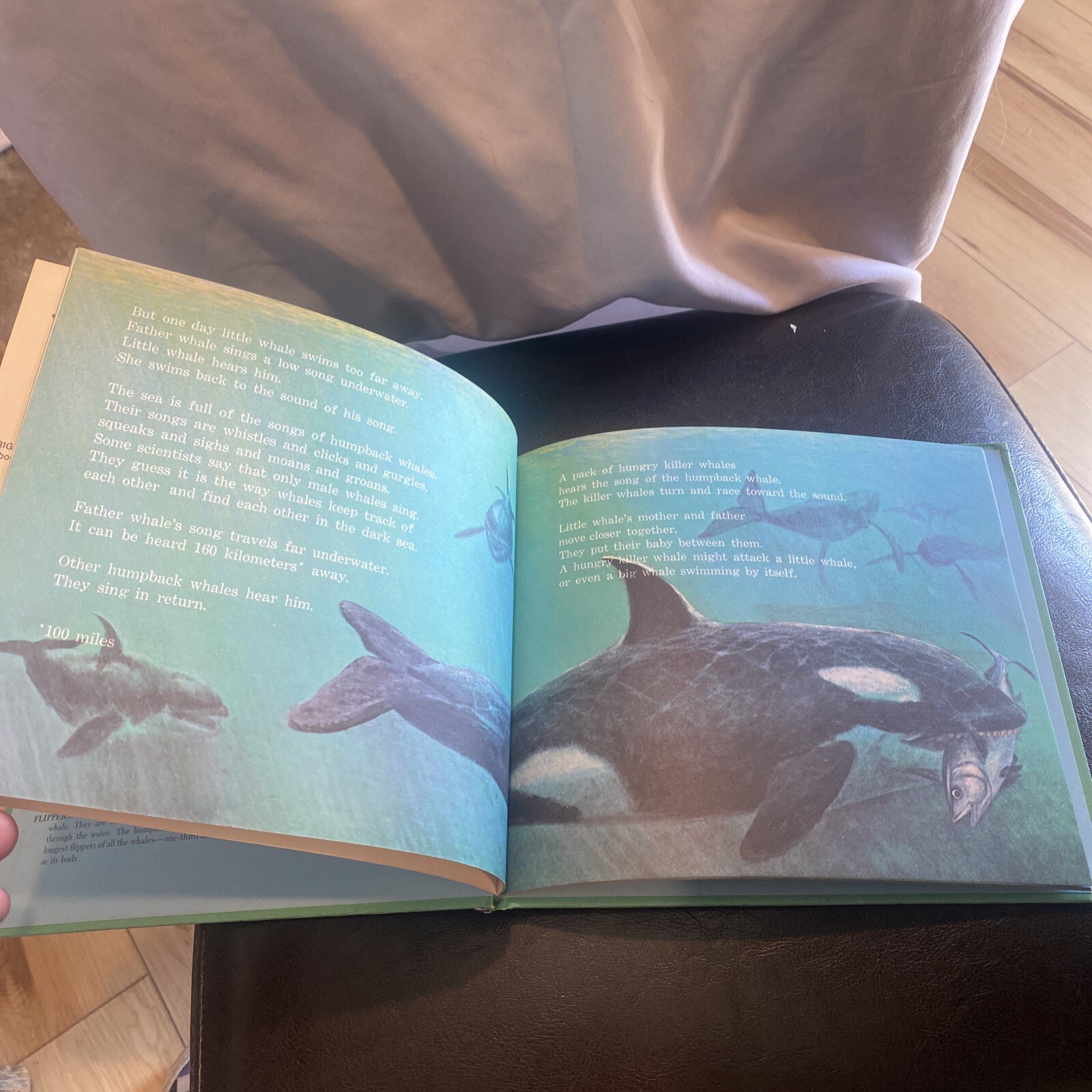 Little Whale. By Ann McGovern. 1979 HC Edition