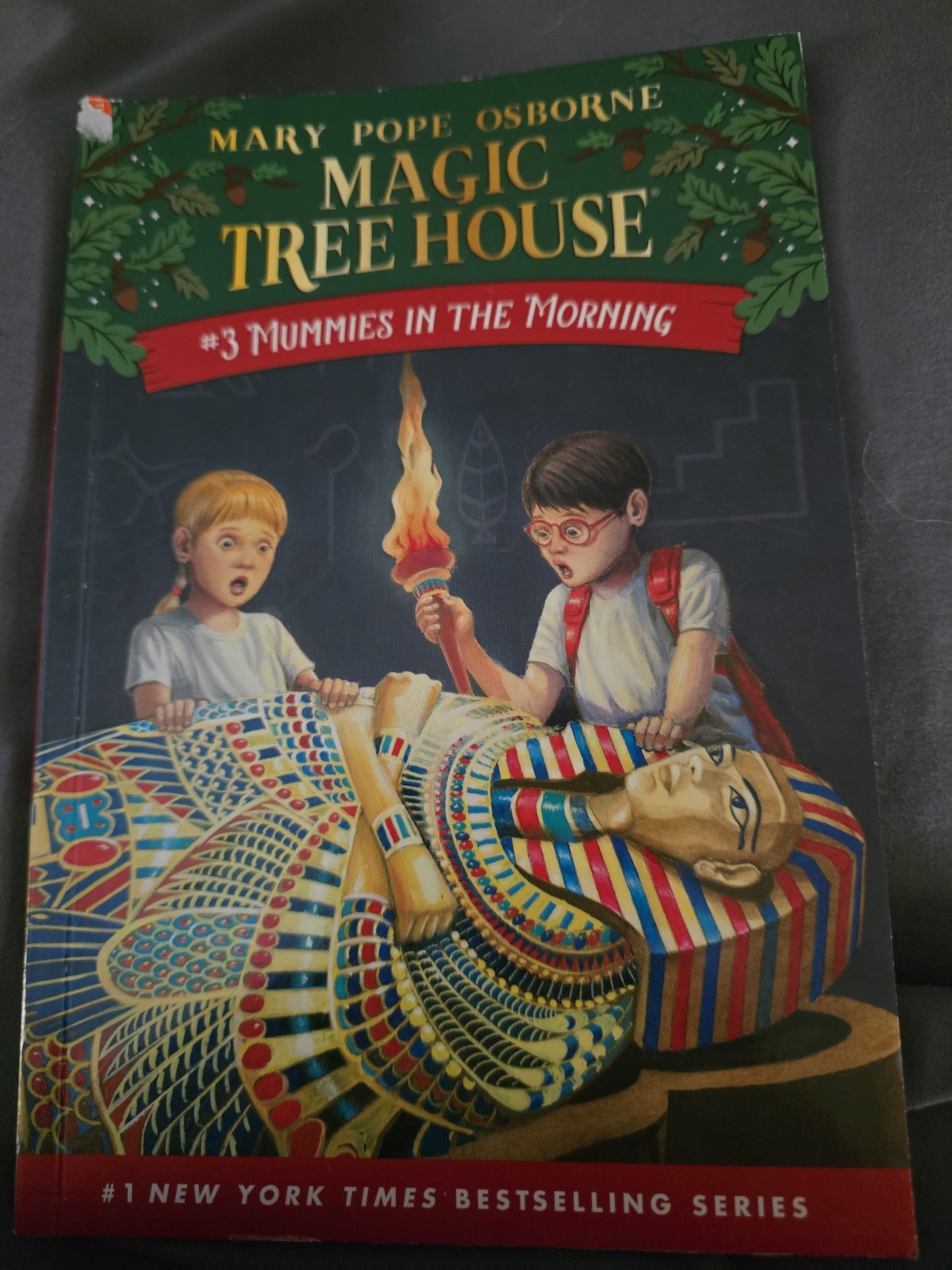 Magic Tree House Mummies In The Morning #3