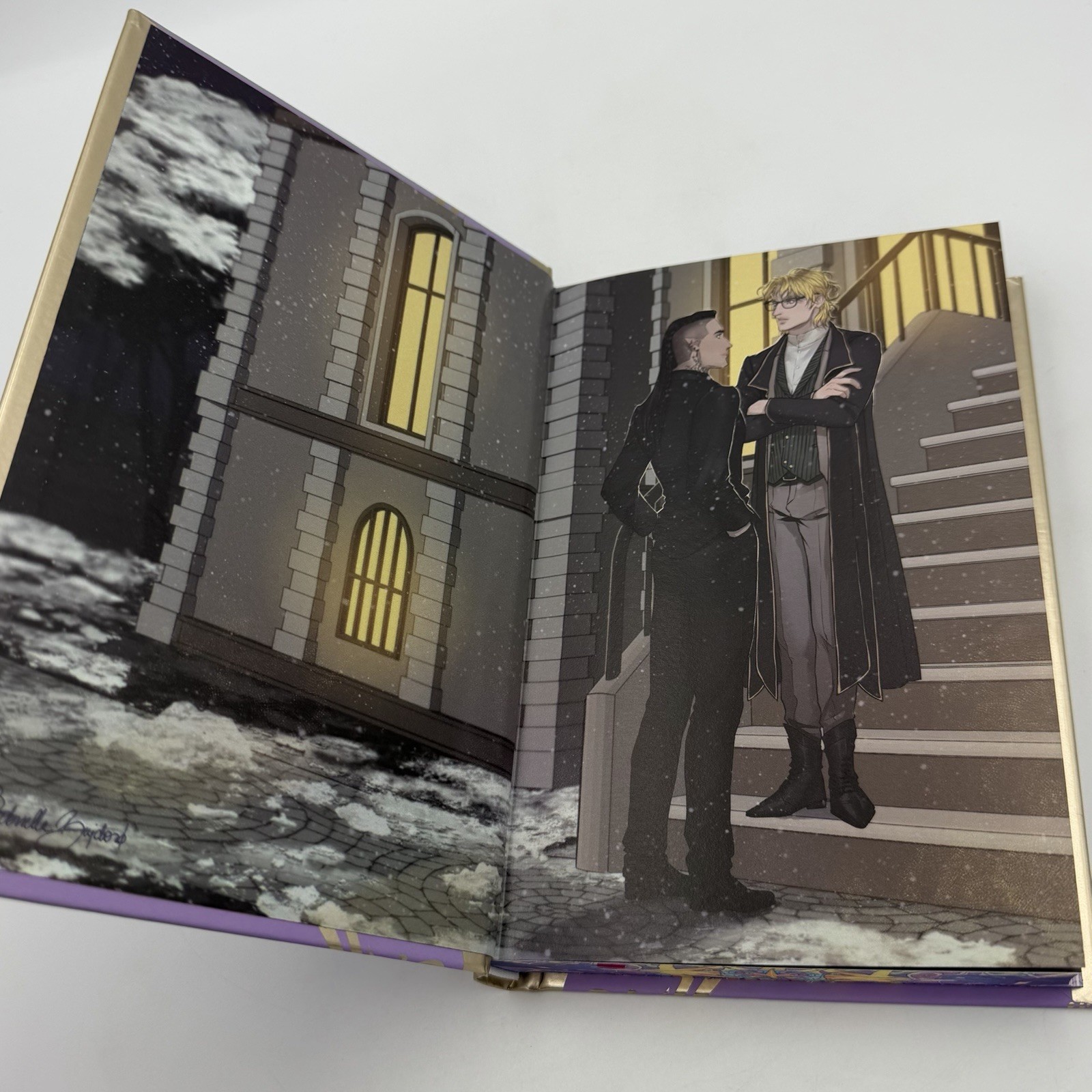 *Signed Fae Crate ed.* The Entanglement of Rival Wizards – Sara Raasch (2025 HC)