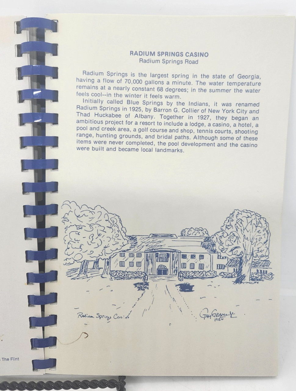 Feasting on the Flint Cookbook 150th Anniversary of Albany, GA 152 pages Spiral