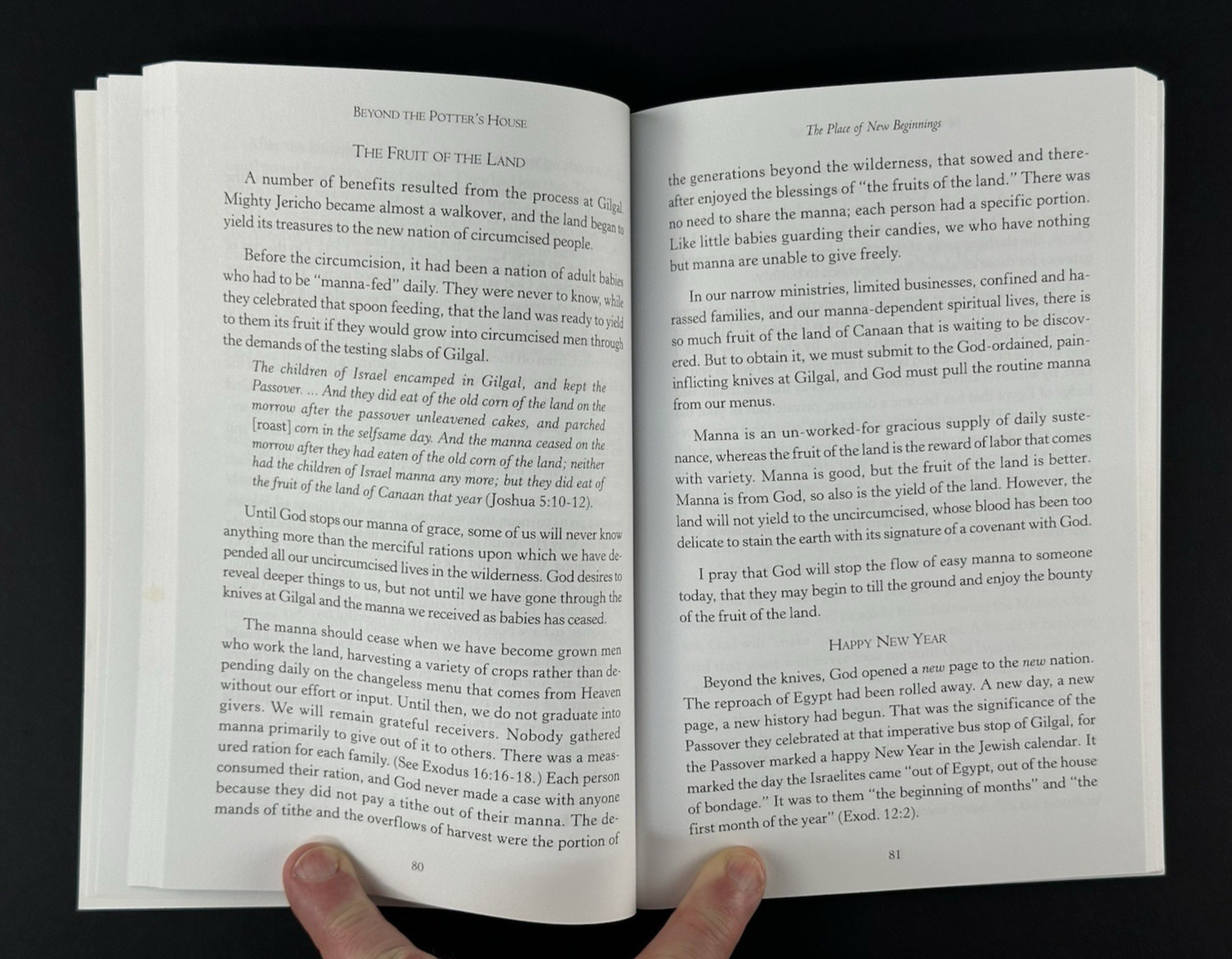 Beyond The Potter’s House by The Preacher … Holy Spirit, Destiny Image PB 2009