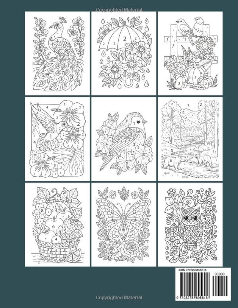 100 Pages Color By Number Adult Coloring Book: 100 Pages Large Print Color By Nu